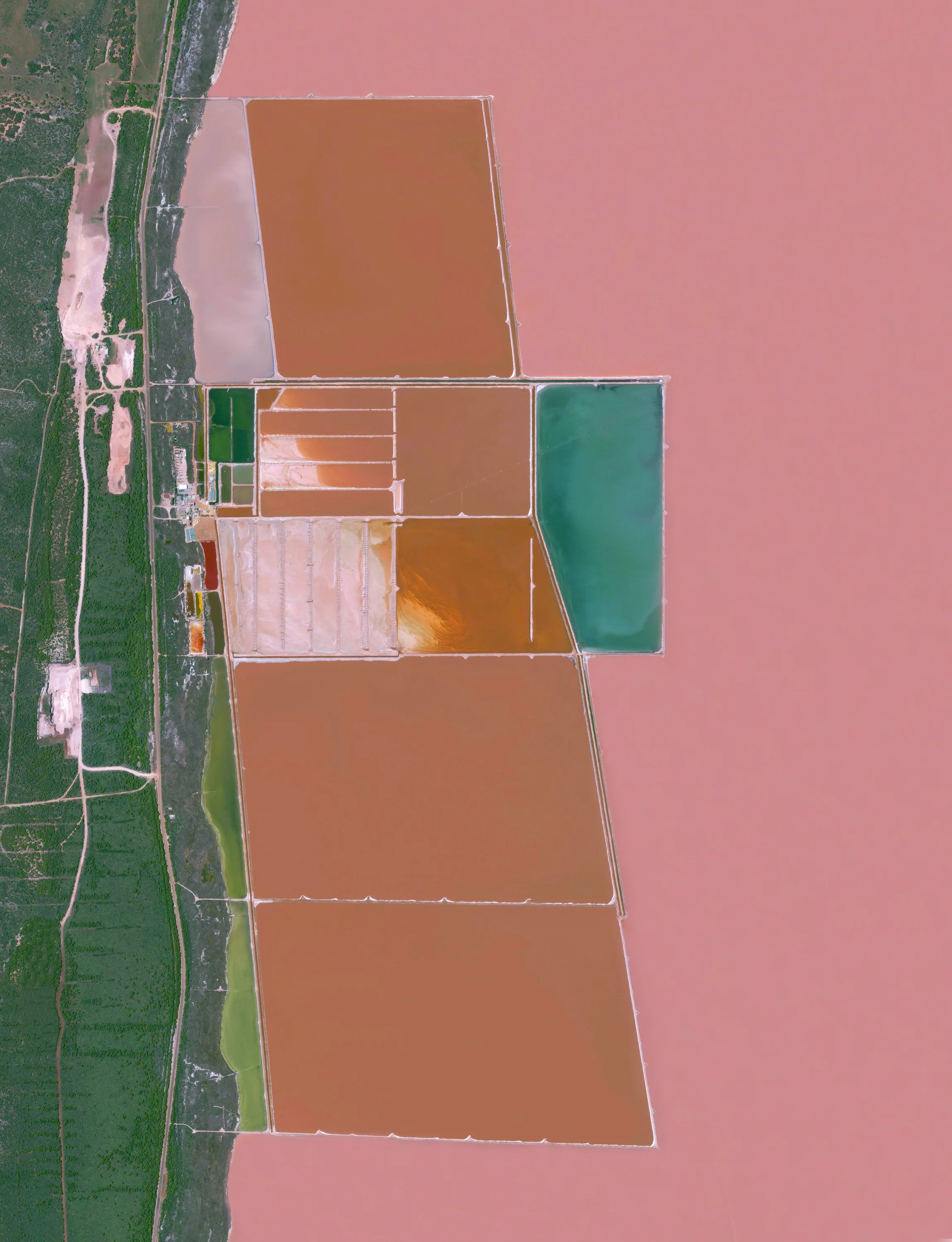 12/9/2016 Hutt Lagoon Western Australia –28.172005°, 114.261002° Here’s a never-before-seen image from “Overview.” Hutt Lagoon is a massive lake in Western Australia that gets its pink color from a particular type of algae - Dunaliella salina - that grows in the water. The lagoon contains the world’s largest microalgae production plant, where the algae is farmed for its beta-carotene, which is then used as a food‑coloring agent and source of Vitamin A in other products.