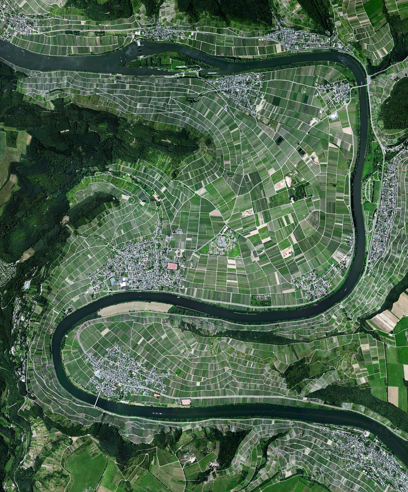 12/19/2016 Moselle River / Vineyards Trier-Saarburg, Germany 49.8374628, 6.8255302 Vineyards surround the Moselle River in the Trier-Saarburg district of Germany. The region is recognized for its production of Riesling wines with 9,000 hectares of land (roughly the size of Manhattan) dedicated to grape growing.