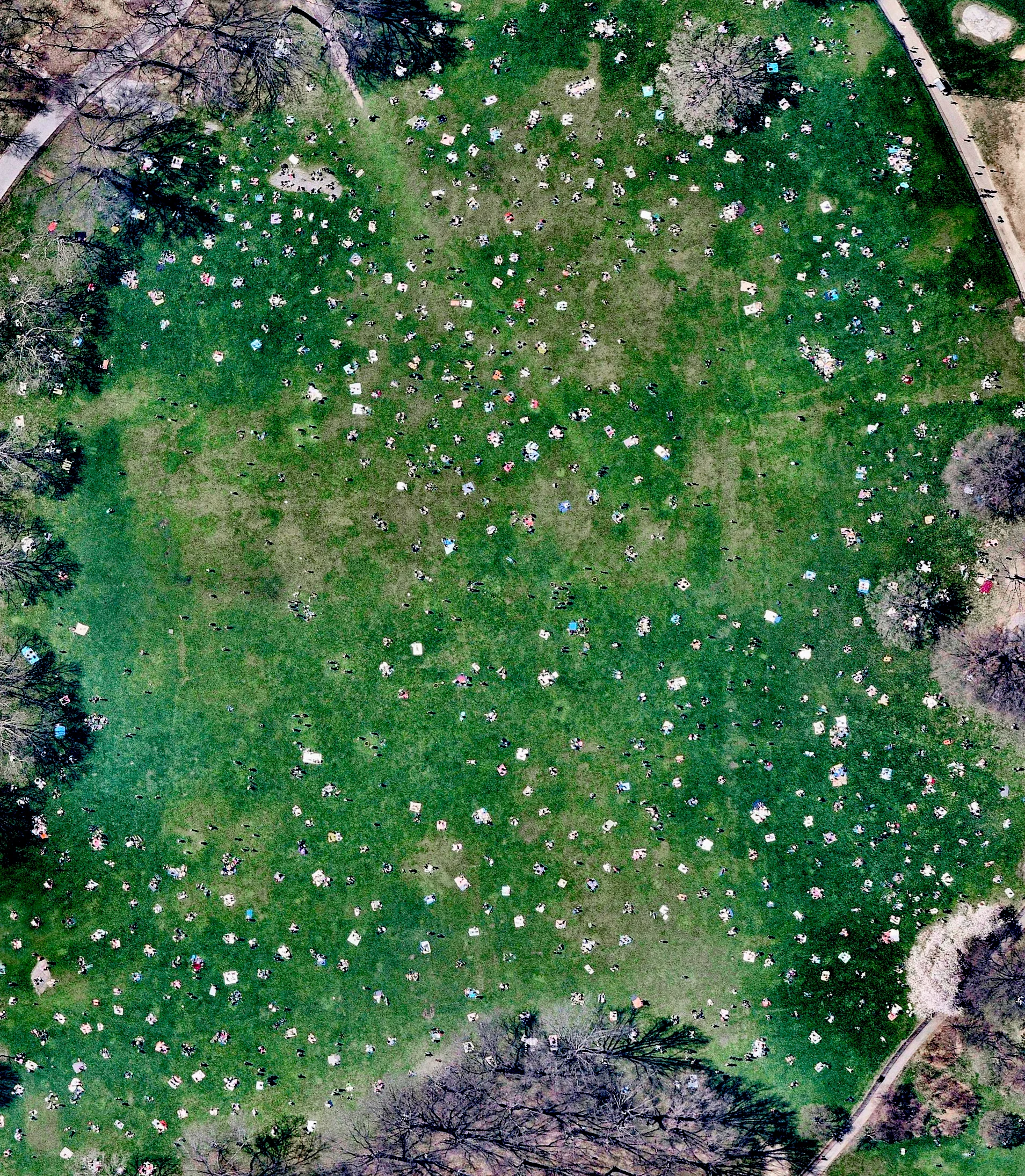 5/9/2017 Sheep's Meadow Central Park, New York 40.7707835,-73.9776182 Sheep Meadow covers 15 acres on the west side of Central Park in New York. As seen in this Overview, the meadow often draw massive crowds of sunbathers looking for a place to lay out, and can attract up to over 30,000 visitors a day in the summer months. Source imagery: NearMap 