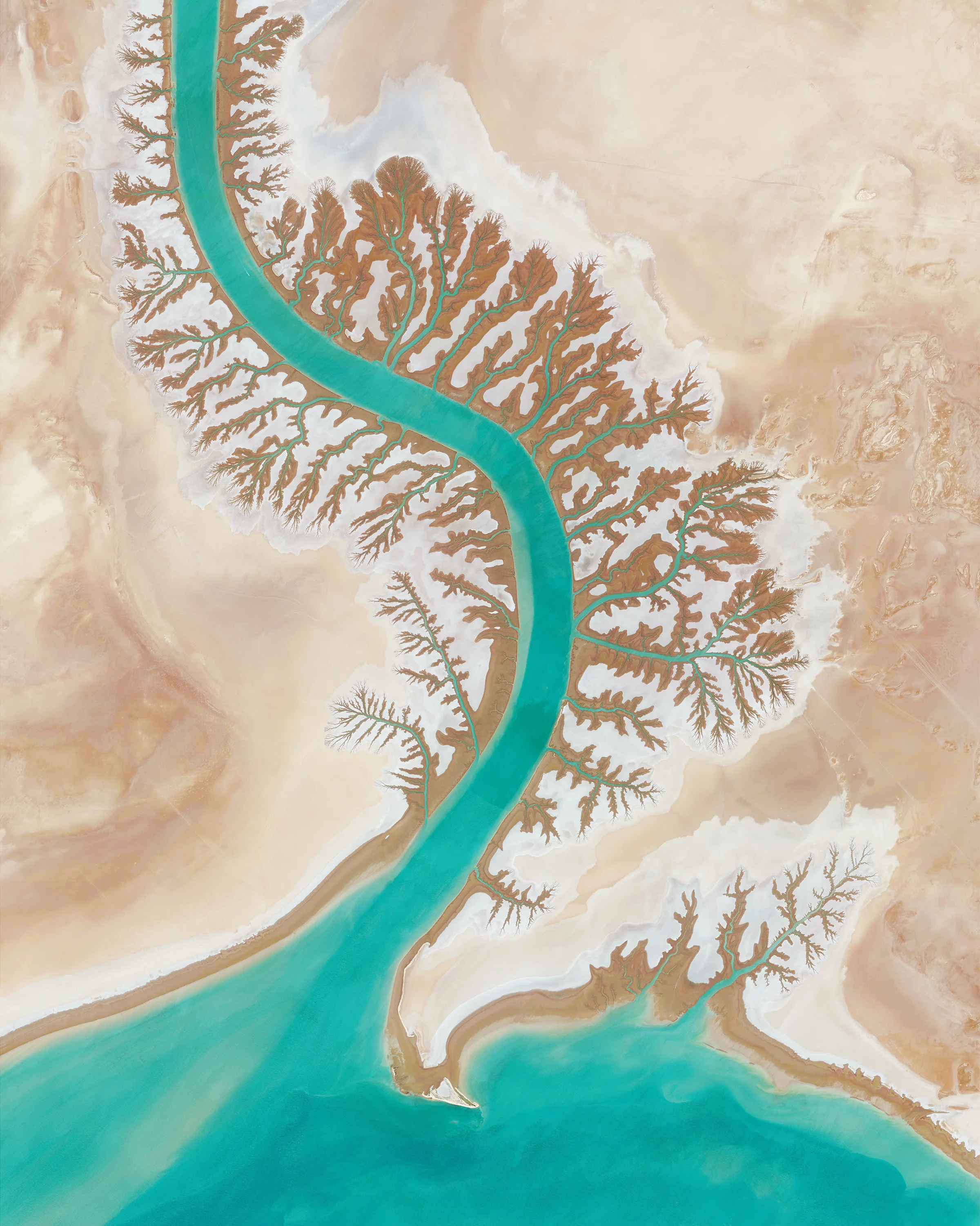 Today is the last day that we can guarantee US orders placed in our Printshop will arrive by Christmas! www.dailyoverview.com/printshop Here we see Shadegan Lagoon and its tree-like drainage systems in Iran - one of our favorites from the collection. Don’t forget to use code ‘HOLIDAY20’ for 20% off your entire order. Happy Holidays!