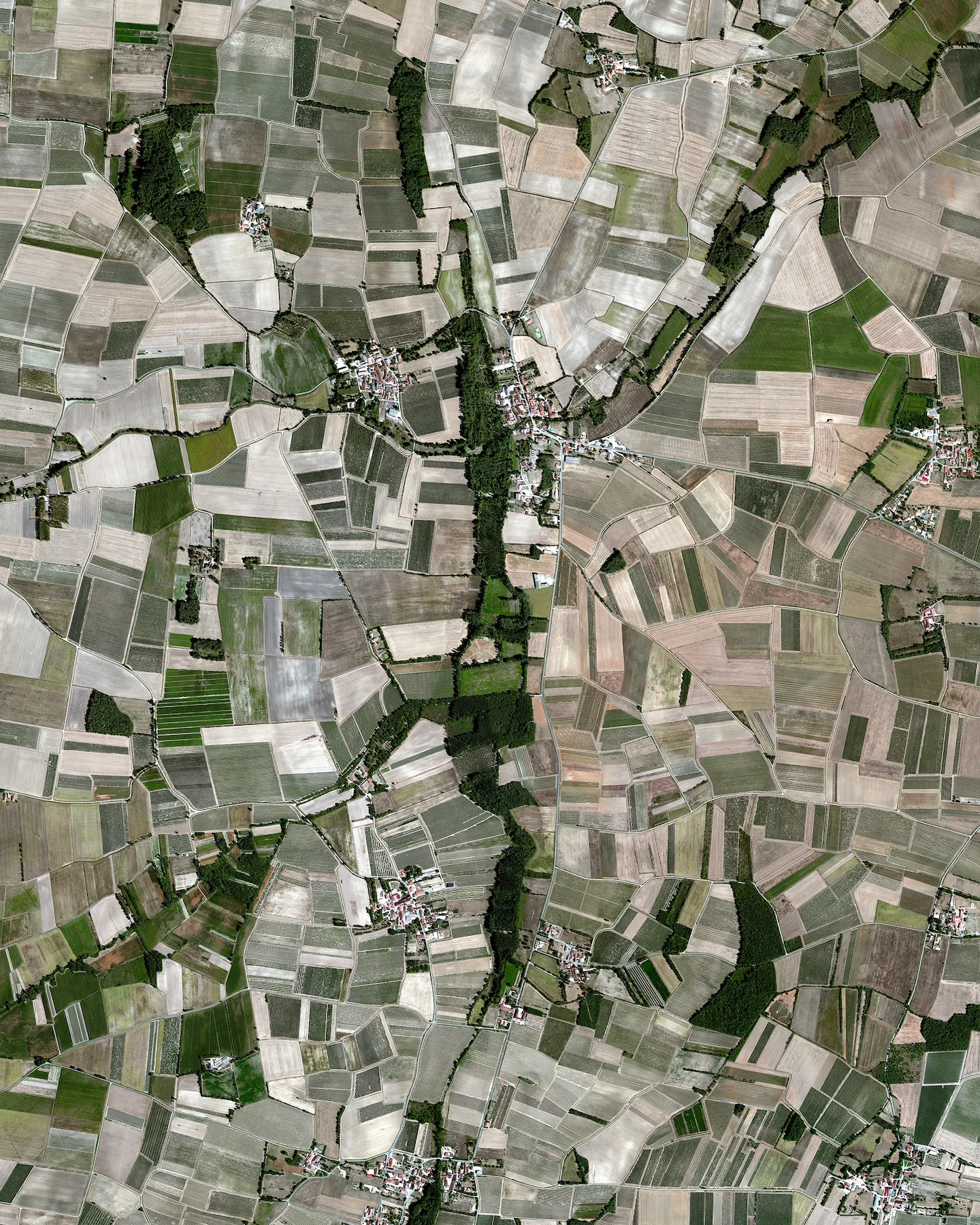 Check out this Overview of Cognac, France that we made for our friends Brenne Whisky ! Since the 1920's their farm has been growing organic heirloom barley in this region and has used a method known as crop rotation — a tactic where different crops are grown in the same area over multiple seasons. This sustainable harvesting practice reduces soil erosion and increases crops yields. 45.6133598, -0.3839284