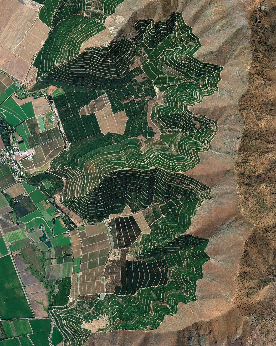 Vineyards line the foothills of the Andean Mountains in Chile’s Valparaíso Region, roughly 55 miles (88 km) north of Santiago. Grapes grown in this wine region, called the Aconcagua Valley, are often irrigated with snow melt from surrounding mountains and have produced red wines of international acclaim. 32°49'07.3"S, 70°50'08.3"W Source imagery: DigitalGlobe