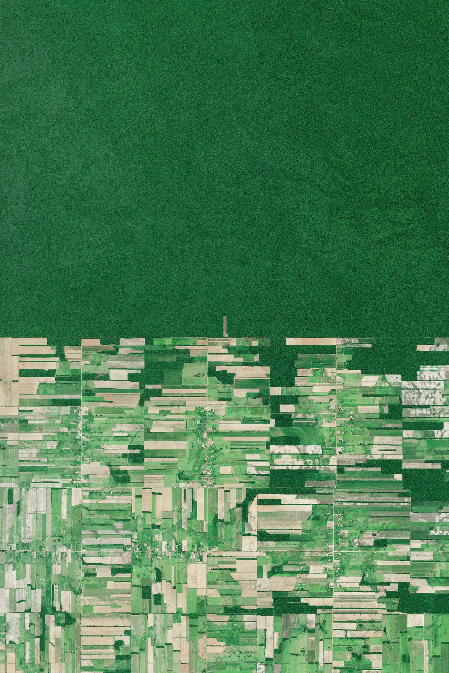 Deforestation in Bolivia has primarily been driven by the expansion of mechanized agriculture and cattle ranching. It is seen here in Santa Cruz, immediately adjacent to untouched tracts of forest. While tree-clearing rates are now relatively stable at about 200,000 hectares (494,000 acres) a year, it is estimated that Bolivia lost 1,820,000 hectares (4.5 million acres) of forests from 2000 to 2010. Since today is Arbor Day, we hope this Overview will inspire you to plant a tree and help preserve the natural beauty of our one and only home. 17°23'15.7"S, 60°33'43.6"W Source imagery: DigitalGlobe