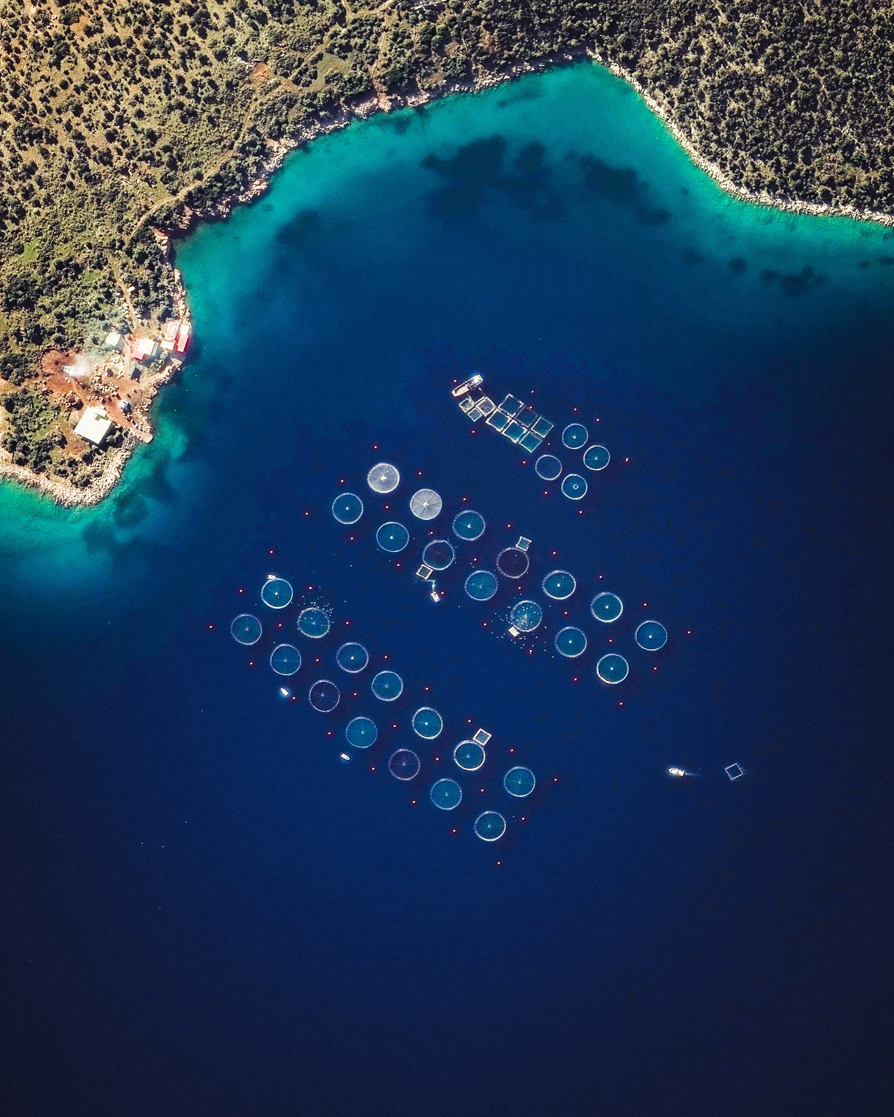 Check out this Overview, which shows a fish farming operation in the Saronic Gulf, just off the eastern tip of Greece’s Peloponnese peninsula. Fish farming — or pisciculture — involves raising fish in tanks or enclosures, usually for food. In 2015, Greece had at least 300 of these farms and raised more than 242 million pounds (109 million kg) of fish and mussels. 37°36'34.5"N, 23°19'04.0"E Source imagery: DigitalGlobe
