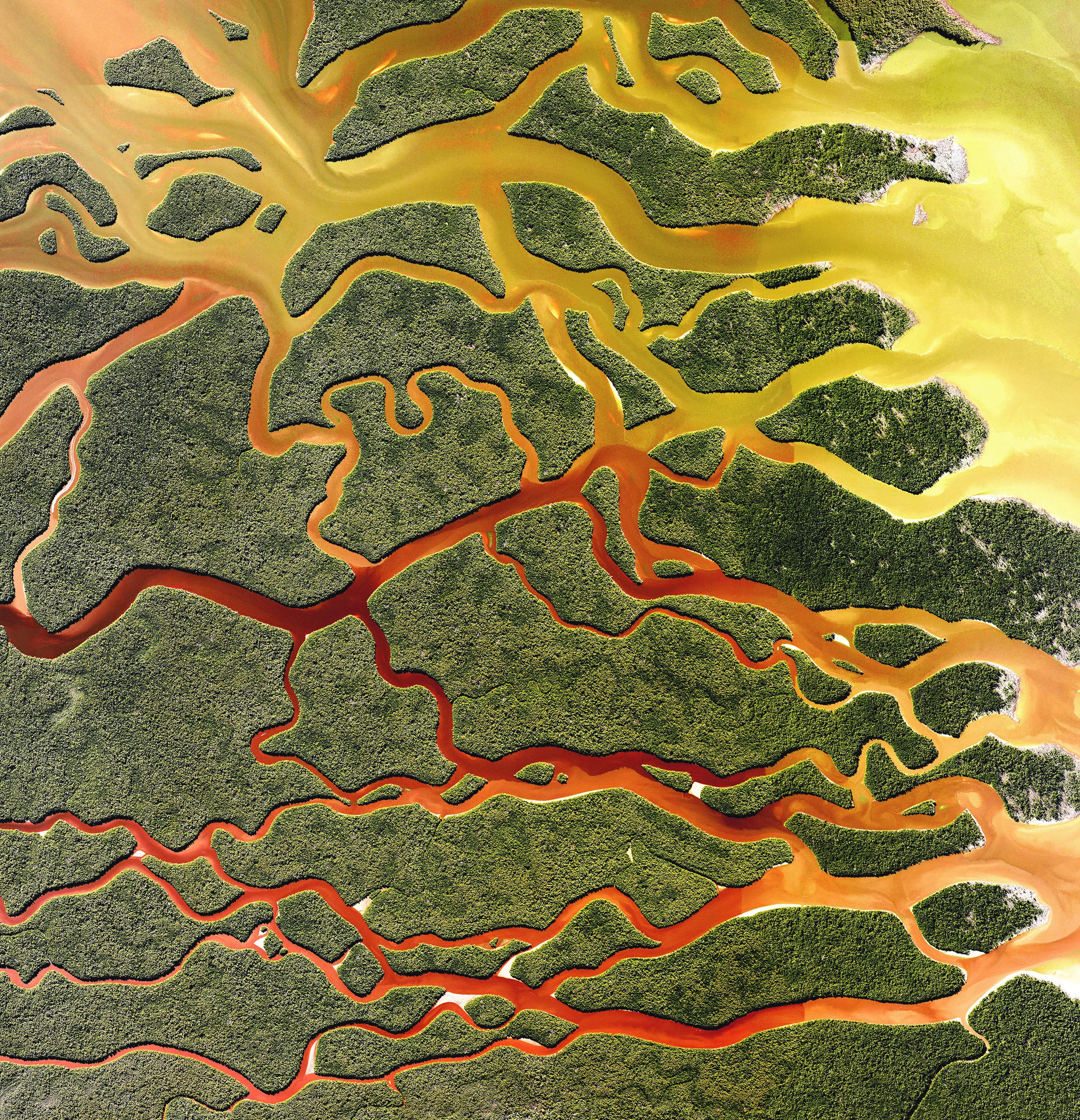 Everglades National Park in Florida is the largest tropical wilderness in the United States east of the Mississippi River, covering more than 1.5 million acres. The park was established in 1934 to protect the area’s fragile ecosystem and is home to 36 threatened or protected species including the American crocodile and West Indian manatee. 25°17'14.3"N, 80°54'01.6"W Source imagery: DigitalGlobe