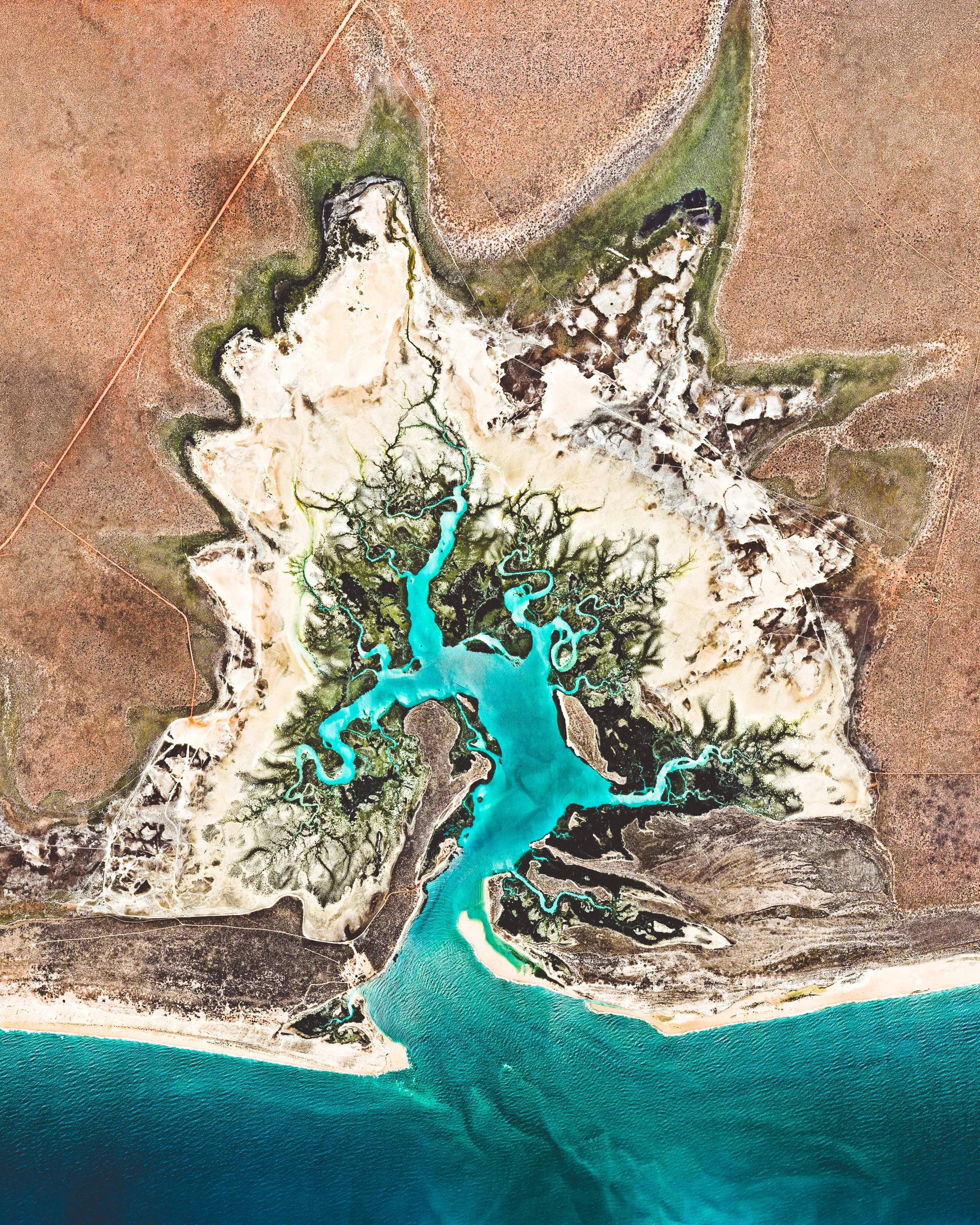 Willie Creek is a protected tidal estuary roughly 10.5 miles (17 km) north of Broome, Western Australia. The creek’s calm, nutrient-rich waters make it an ideal habitat for the Pinctada maxima oyster, which produces world-renowned pearls. 17°45'45.2"S, 122°14'14.2"E Source imagery: Nearmap