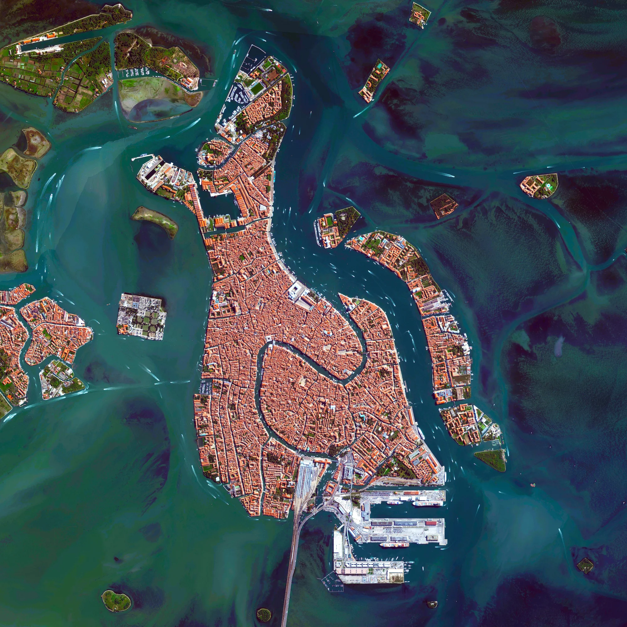 Venice, Italy, is situated upon 118 small islands that are separated by canals and linked by bridges. After a series of heavy storms, much of the city has been flooded this week as high tide rose to more than 61 inches (156 cm) above average sea level. At least 11 people have been killed due to storms across the country, and flood waters in many of Venice's streets reached knee height at the beginning of the week. With tide waters expected to rise to perilous levels in the coming decades, the city has constructed 78 giant steel gates across the three inlets through which water from the Adriatic could surge into Venice’s lagoon. 45°26′15″N, 12°20′9″E Source imagery: DigitalGlobe