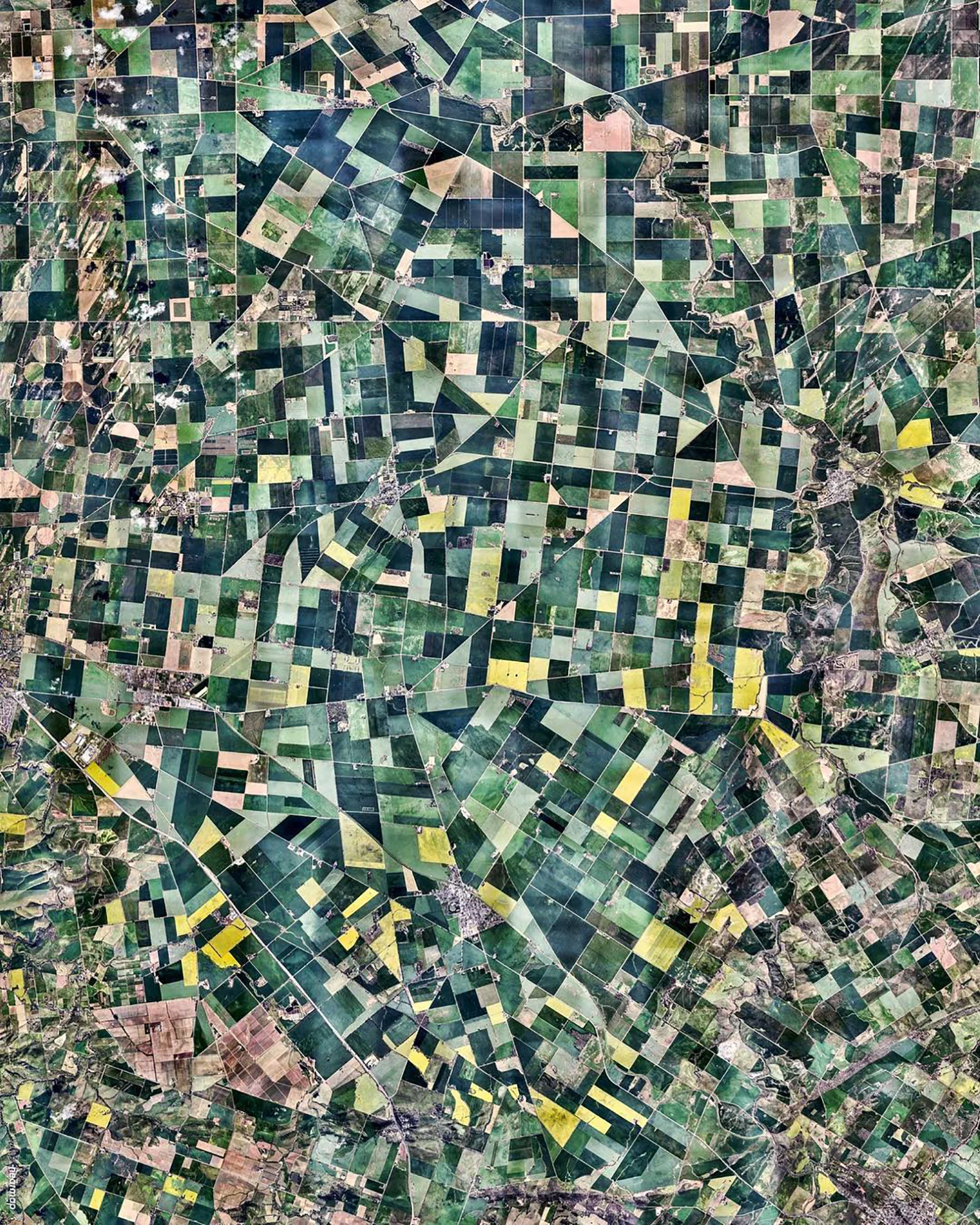 Yellow canola fields are visible across the landscape north of Adelaide, Australia. While various crops are grown here, the canola fields are easy to notice because of their vibrant flowering color. The crop is grown for the production of oil, which is extracted by slightly heating and then crushing the flower seeds. Canola oil is primarily used as a source of biodiesel and also for cooking purposes. 34°26'23.5"S 138°33'28.2"E Source imagery: Nearmap