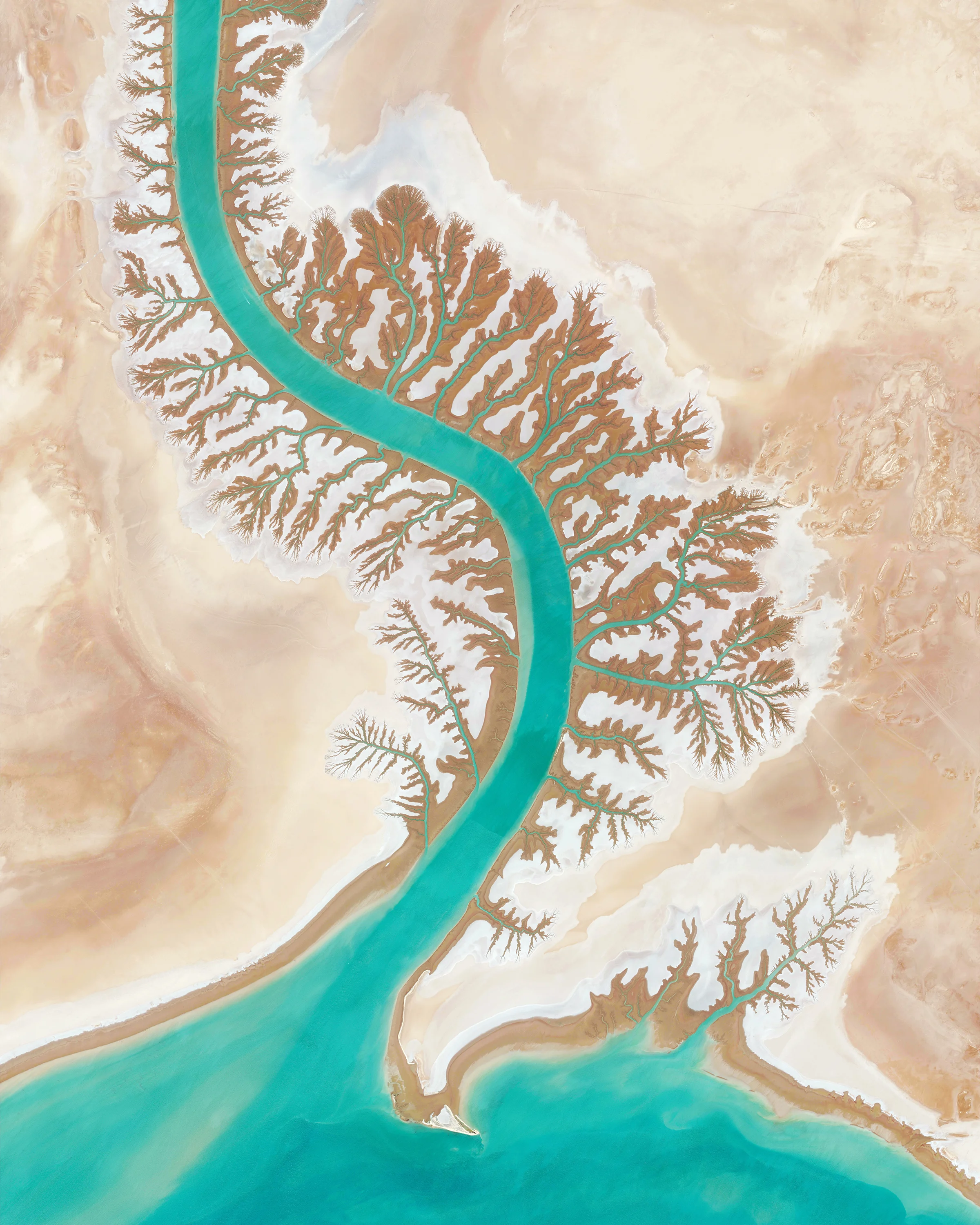 Dendritic drainage systems are seen around the Shadegan Lagoon by Musa Bay in Iran. The word ‘dendritic’ refers to the pools’ resemblance to the branches of a tree, and this pattern develops when streams move across relatively flat and uniform rocks, or over a surface that resists erosion. 30°27'24.3"N 48°55'46.0"E Source imagery: DigitalGlobe