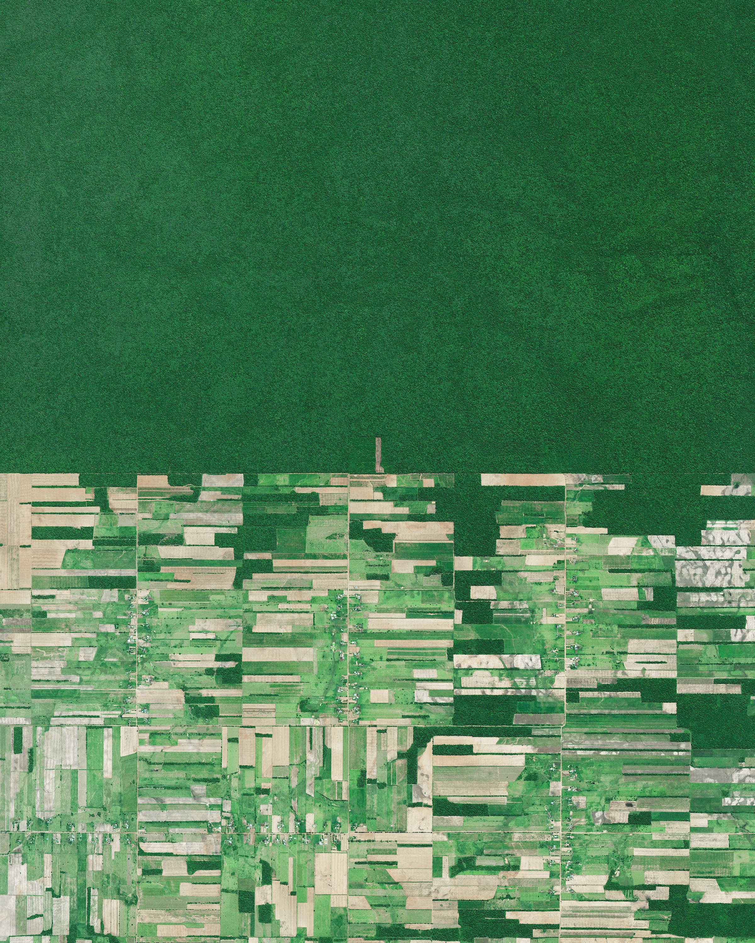 Deforestation of the rainforest is visible in Santa Cruz, Bolivia, immediately adjacent to untouched tracts of forest. Deforestation in the country has primarily been driven by the expansion of mechanized agriculture and cattle ranching. According to The Economist , initial data for the first half of May showed 17,000 acres (6,880 hectares) of forest had been chopped down in the Amazon, nearly as much as the total for the previous nine months. -17.387750, -60.562130 Source imagery: Maxar Technologies