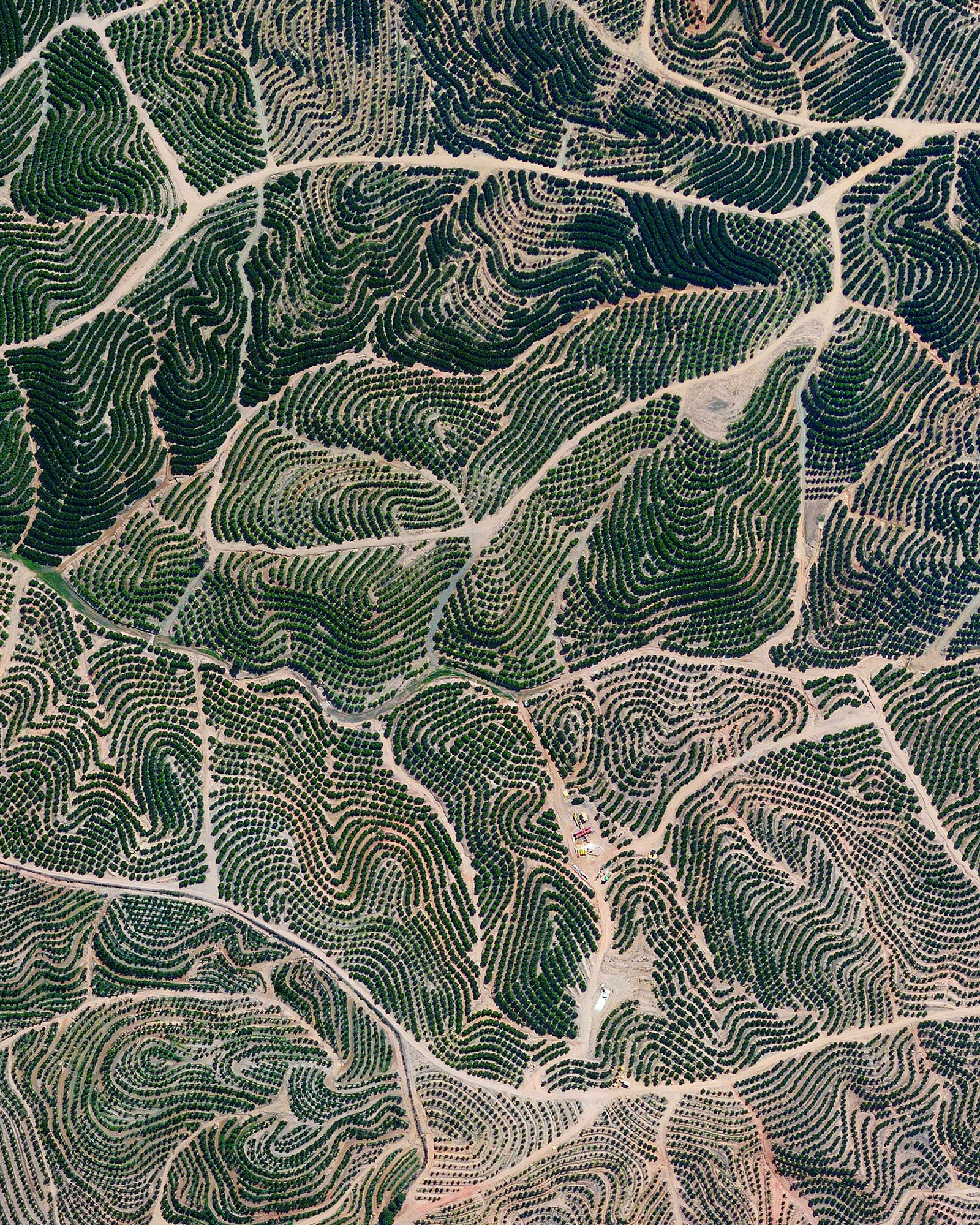 Citrus trees cover the landscape like fingerprints in Isla Cristina, Spain. The climate in this region is ideal for the growth of this produce with an average temperature of 64 degrees (18° celsius) and a relative humidity between 60% and 80%. 37.241139, -7.294472 Source imagery: Maxar Technologies