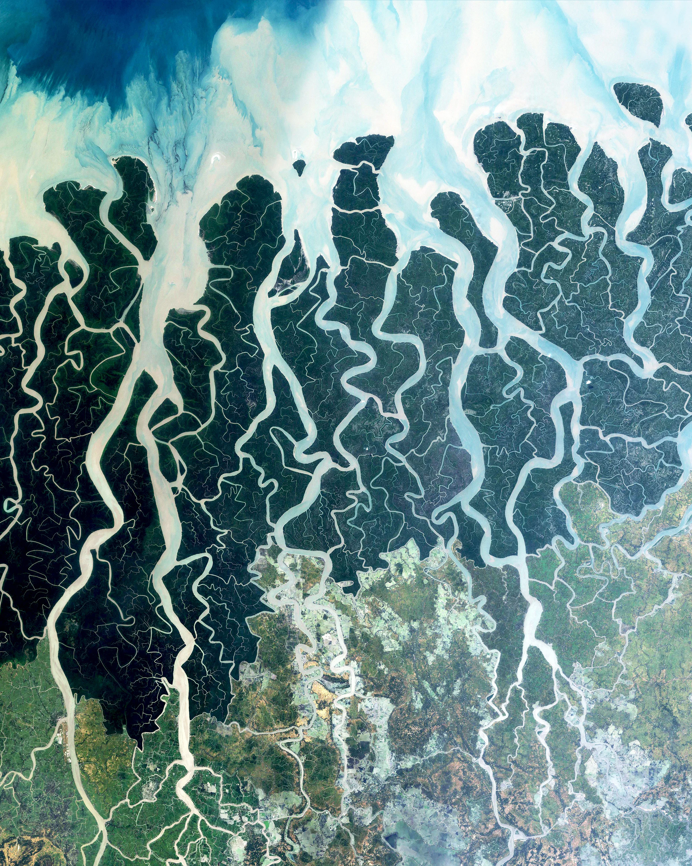 The Sundarbans is a region that covers 3,900 square miles (10,000 square km) of southern Bangladesh and a small section of Eastern India. This region is densely covered by mangrove forests and contains the largest natural reserve for the Bengal tiger. Over the past two centuries, approximately 2,600 square miles (6,700 square km) of the Sundarbans’ land has been developed. 21.950000°, 89.183333° Source imagery: NASA