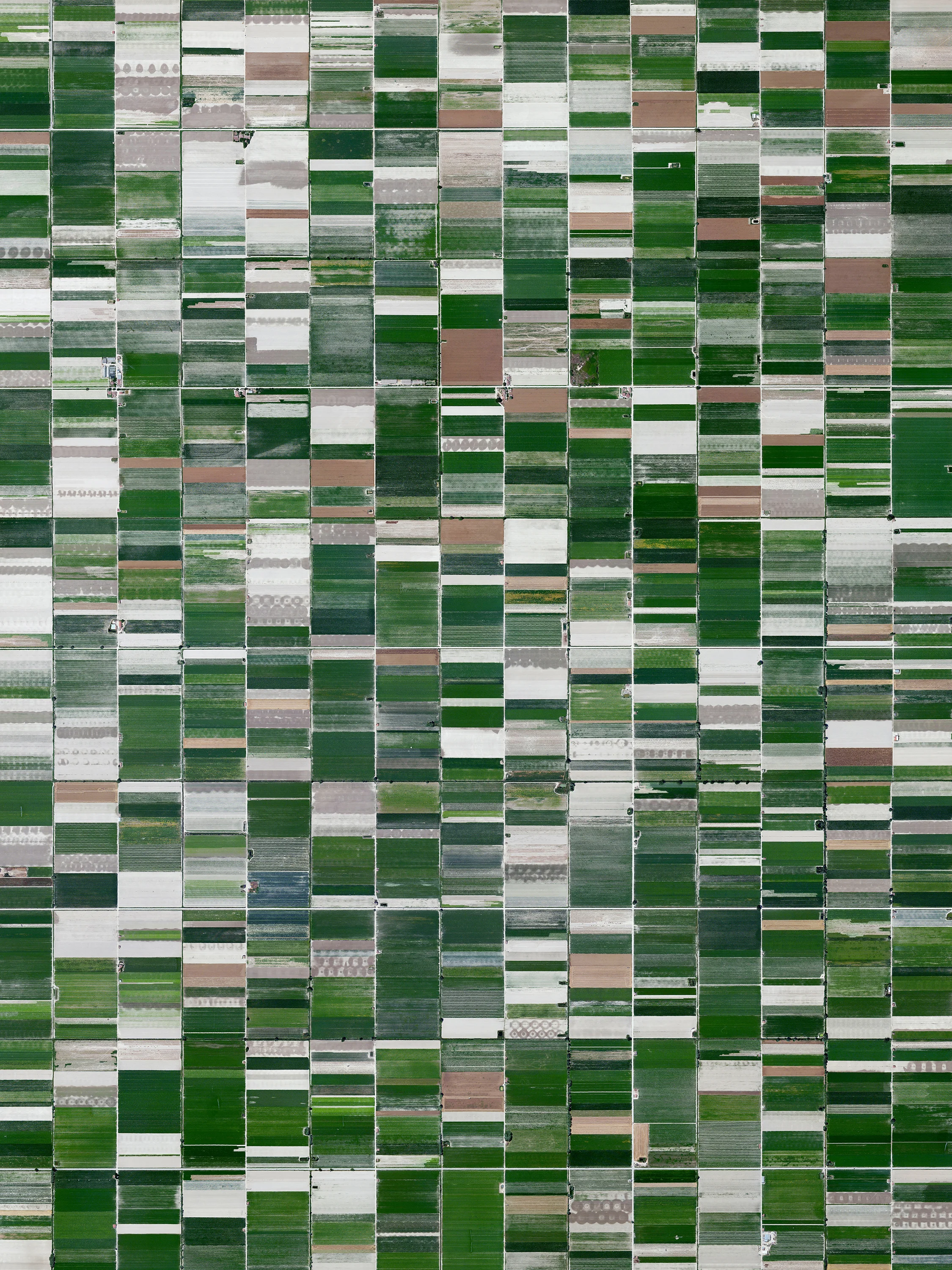 Agricultural development is seen on the plain of Fucino in Italy. The area is known for the quality of the vegetables that are grown here — in particular the potatoes, carrots, and radishes. What is now an entire plain filled with farms was once Fucine Lake, the third largest lake in Italy. The lake was drained in 1877 to make farming possible here and now accounts for roughly 25% of the agricultural production in the region. 41.995000°, 13.547222° Source imagery: Maxar Technologies