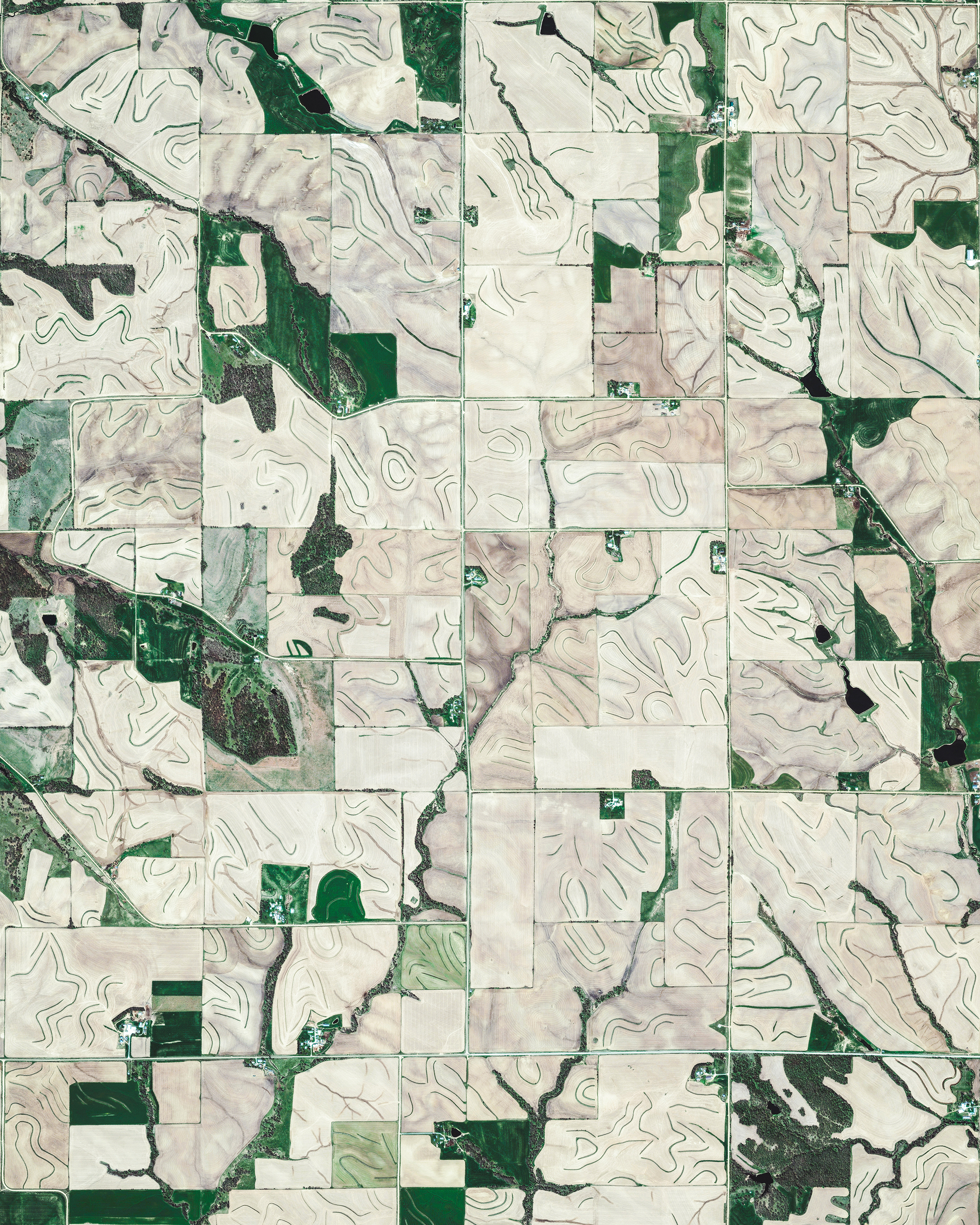 Swirling patterns of grass and farmland cover the landscape outside of Bellevue, Iowa, USA. Bellevue is located in the southernmost corner of the Driftless Area, a portion of North America that escaped all three phases of the Wisconsonian Glaciation. Because of this, its rugged hills and valleys contrast with the rest of Iowa's low-lying terrain. 42.259167°, -90.426389° Source imagery: Maxar Technologies