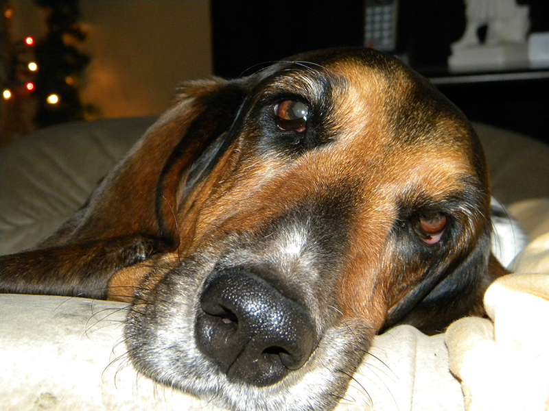 Abby