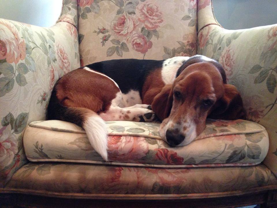 Lucy