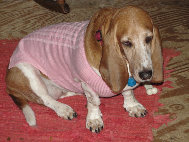Marcey Mae