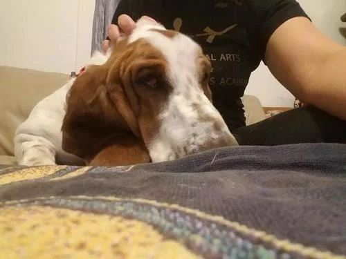 Walter