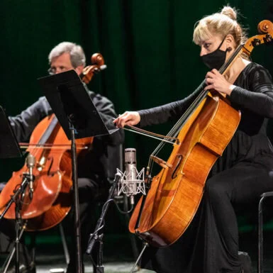 Wisconsin Chamber Orchestra - Chamber Series No. IV