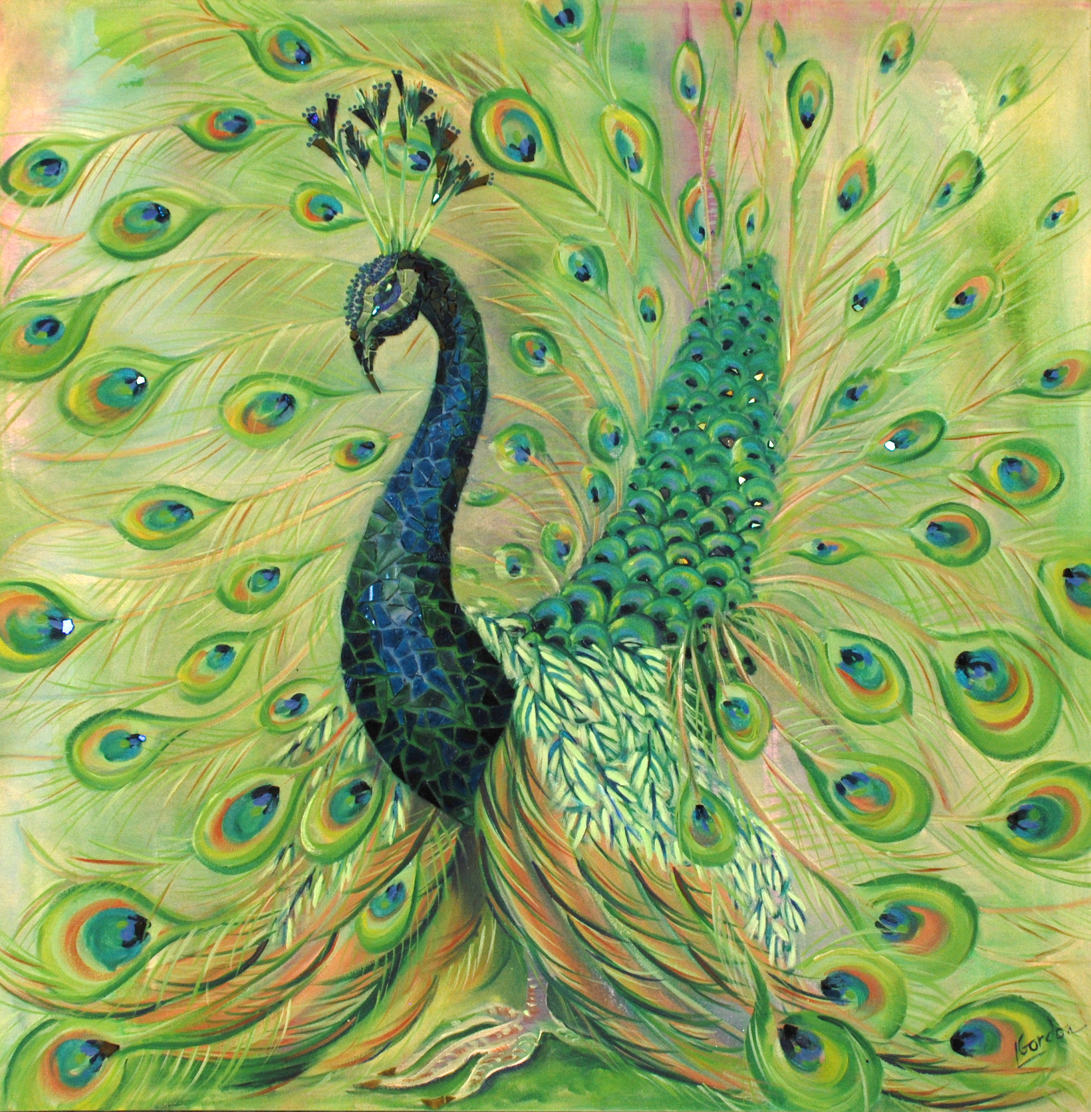 13_young_peacock.JPG