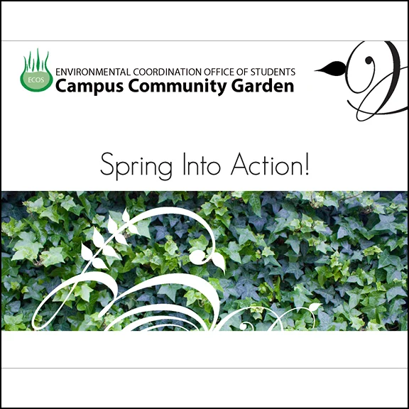 springintoaction - thumbnail.jpg