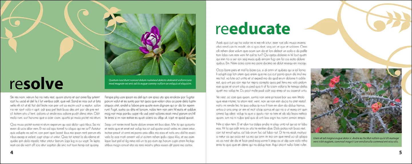 ecosbooklet3.jpg