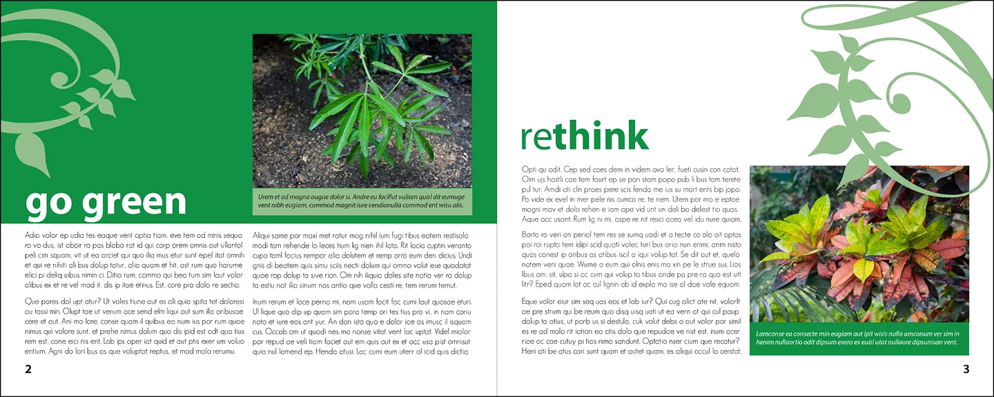 ecosbooklet2.jpg