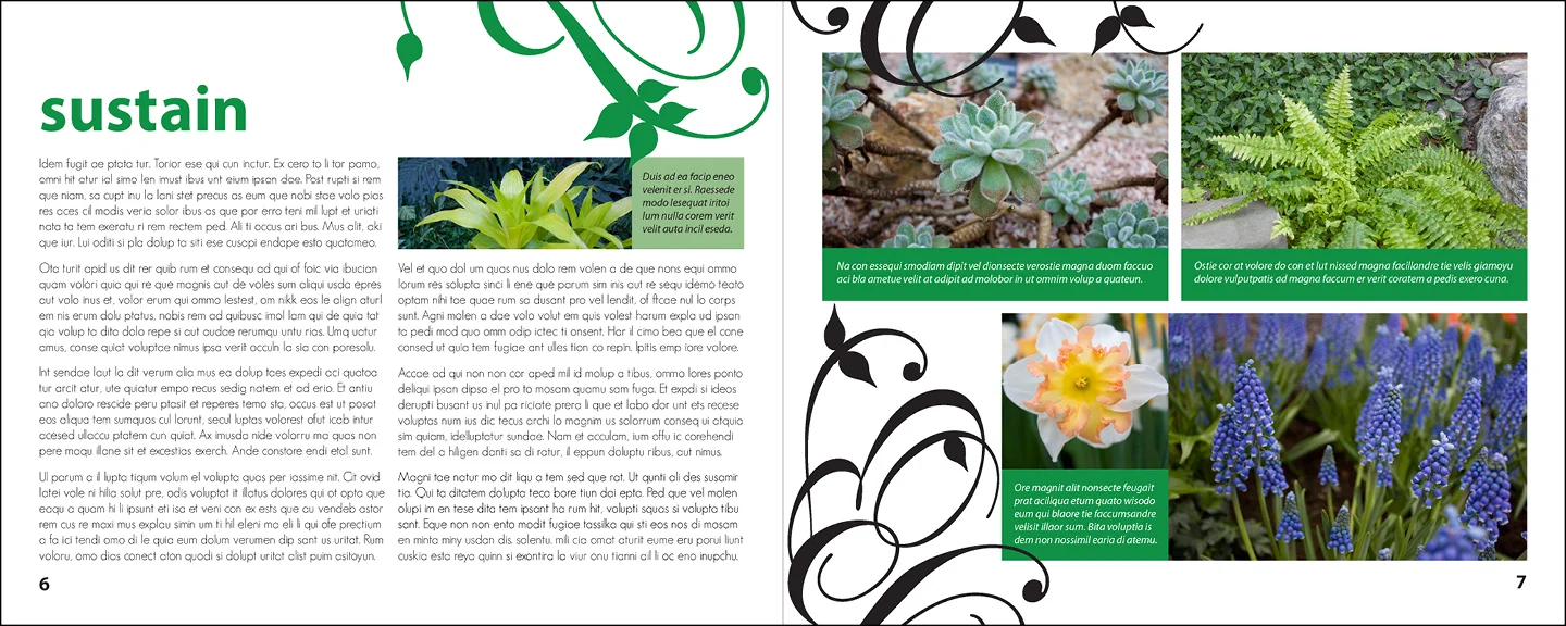 ecosbooklet4.jpg