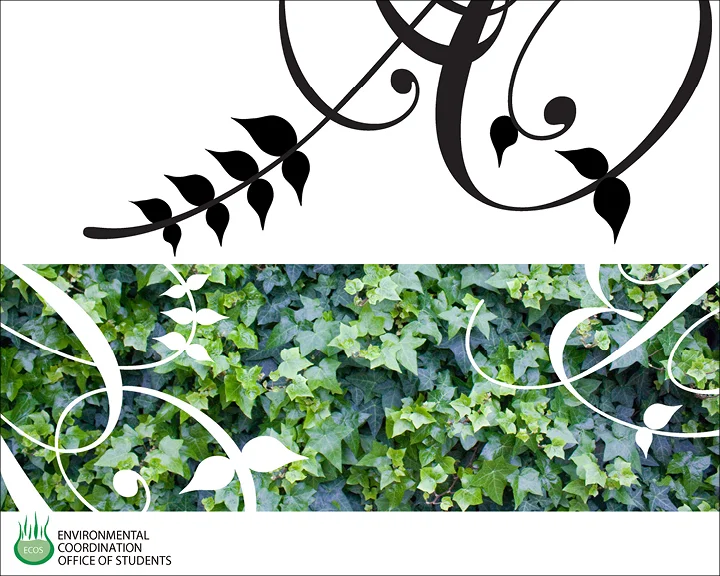 ecosbooklet5.jpg
