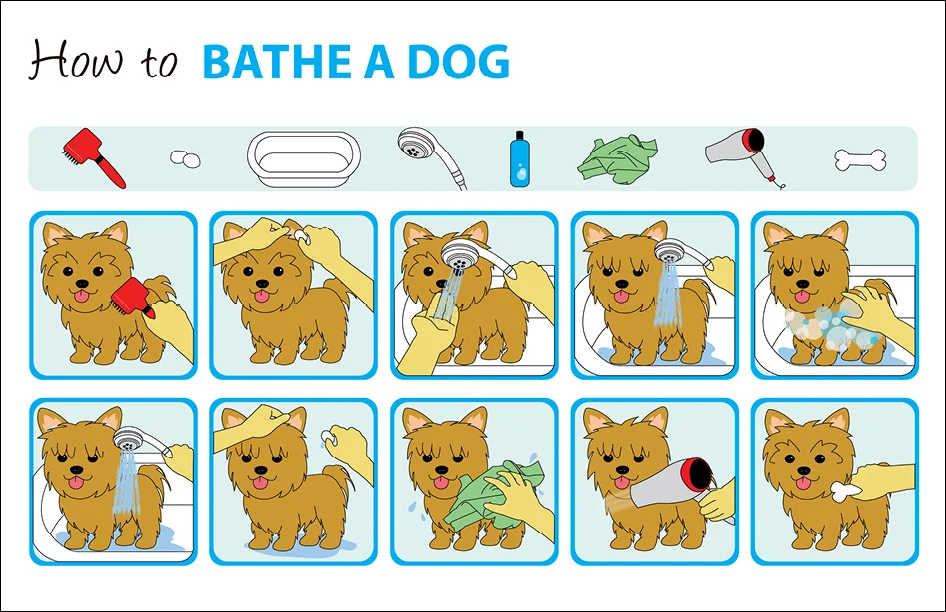 howtobatheadog_page.jpg