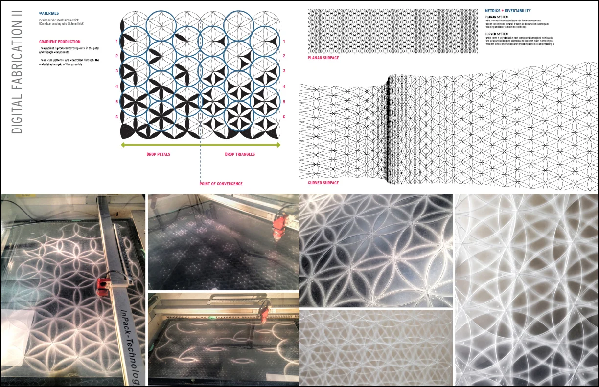 DysAssembly_Studio13.jpg