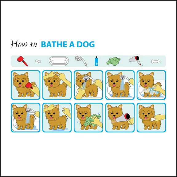 howtobatheadog-thumbnail.jpg