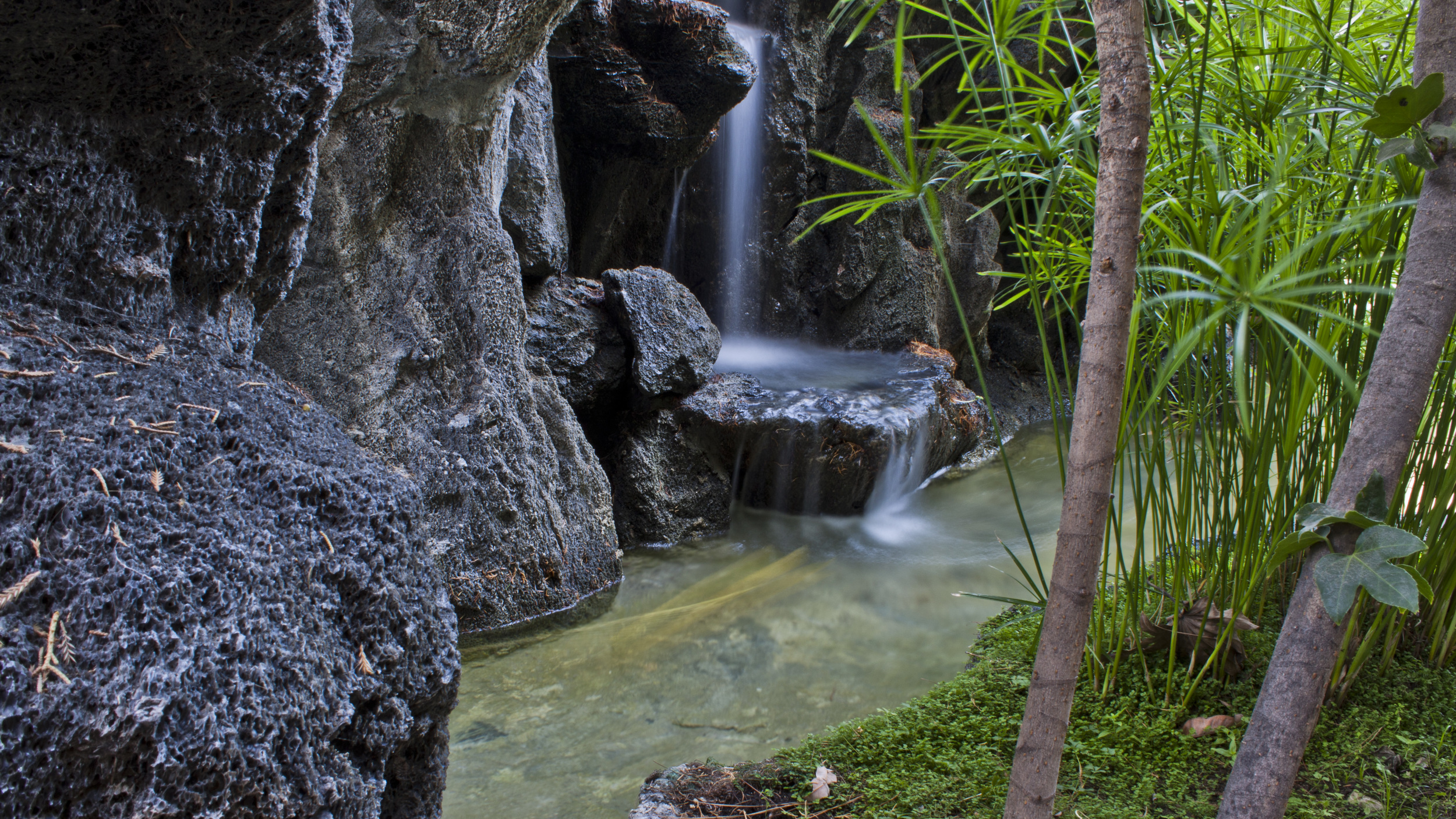IMG_4544HD4.JPG