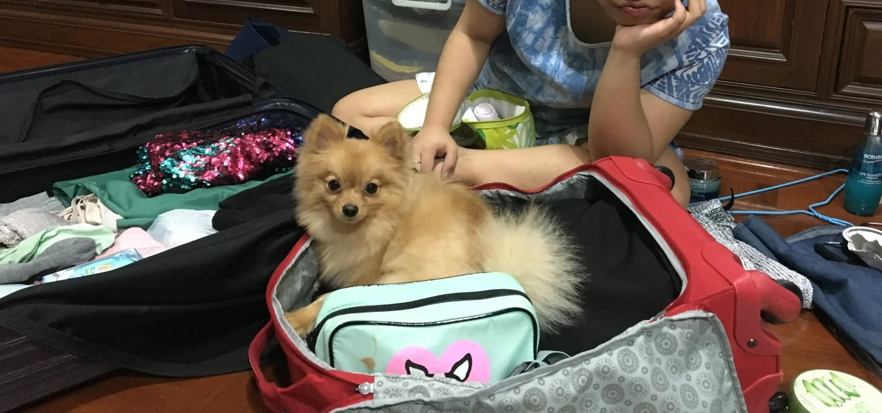 Like she knew I will be gone, take me with you!