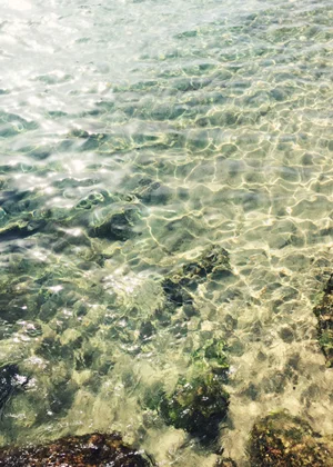 Rockpool.jpg