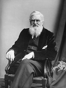 Alfred Russel Wallace (1823 – 1913) was a British naturalist, explorer, geographer, anthropologist, and biologist. He is best known for independently conceiving the theory of evolution through natural selection; his paper on the subject was jointly published with some of Charles Darwin's writings in 1858. This prompted Darwin to publish his own ideas in On the Origin of Species .