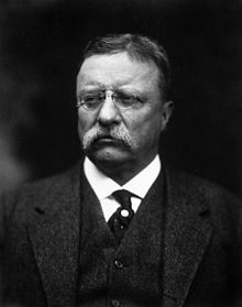 Theodore "T.R." Roosevelt, Jr. (1858 – 1919) was the 26th President of the United States (1901–1909). He is noted for his exuberant personality, range of interests and achievements, and his leadership of the Progressive Movement, as well as his "cowboy" persona and robust masculinity. He was a leader of the Republican Party and founder of the first incarnation of the short-lived Progressive ("Bull Moose") Party of 1912, which put Woodrow Wilson into office. Before becoming President, he held offices at the city, state, and federal levels. 