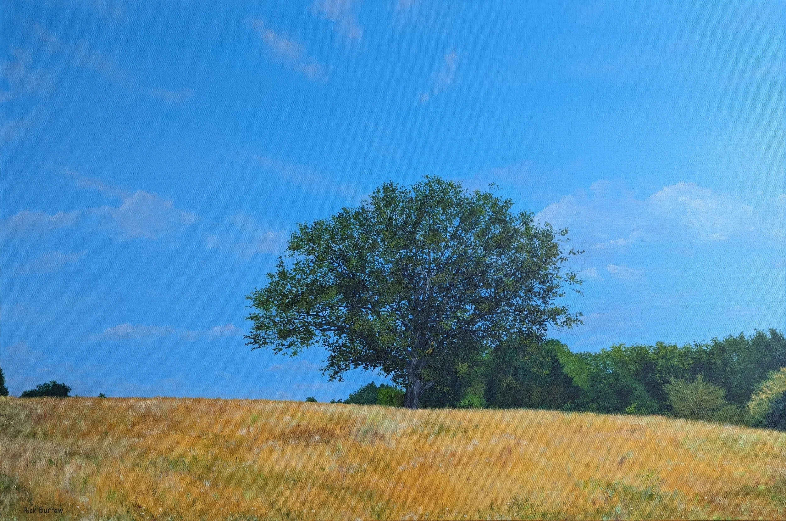 Winterthur  Meadow