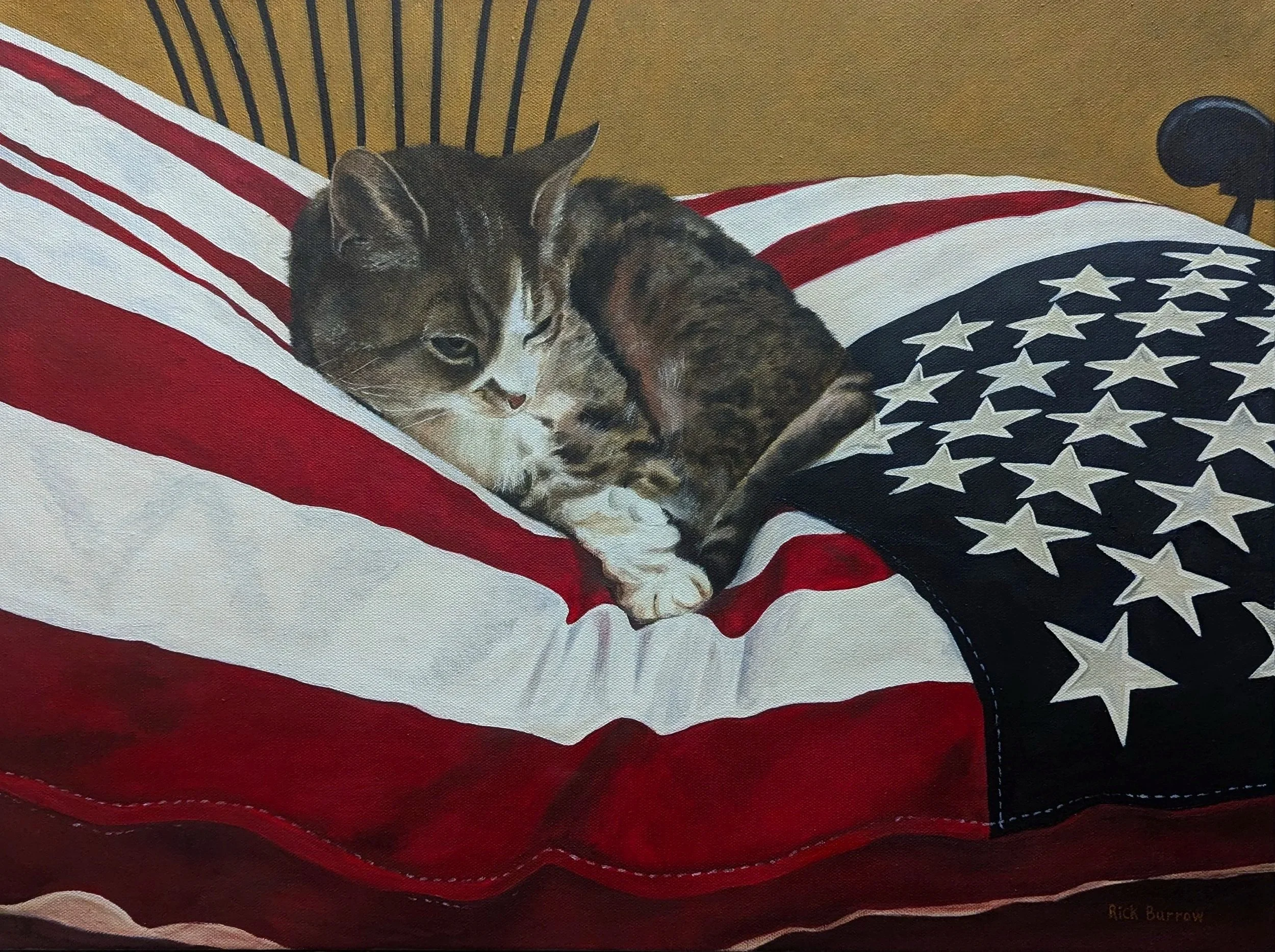 Jazz, American Cat