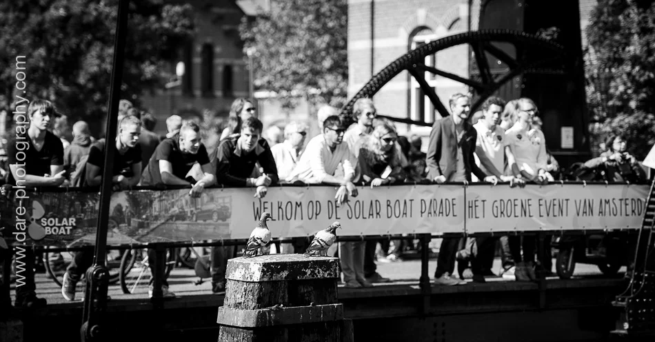 SolarBoatParade-6.jpg