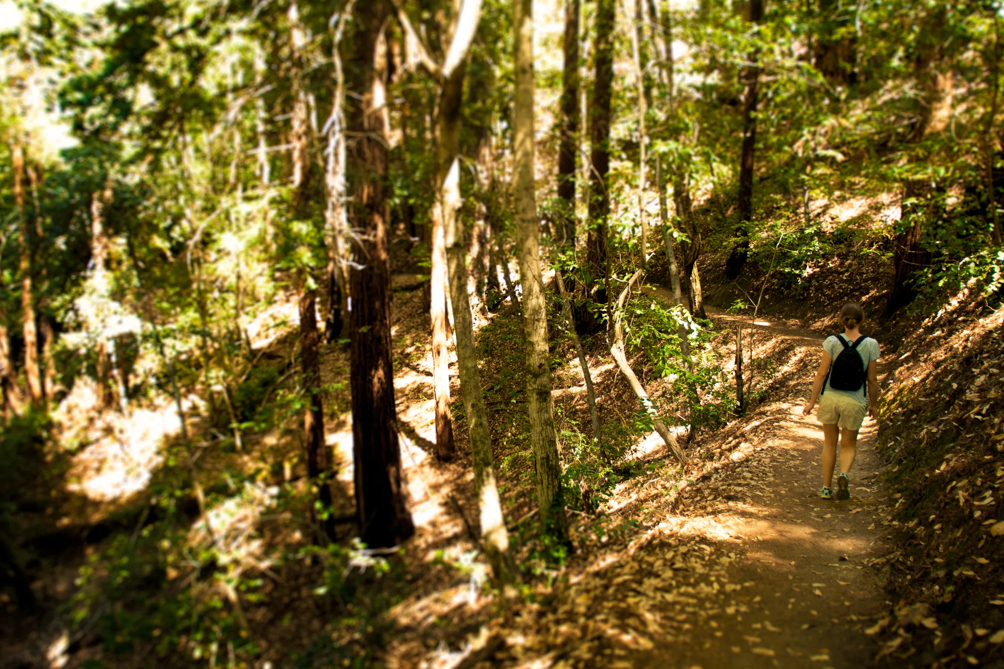 Valley paths