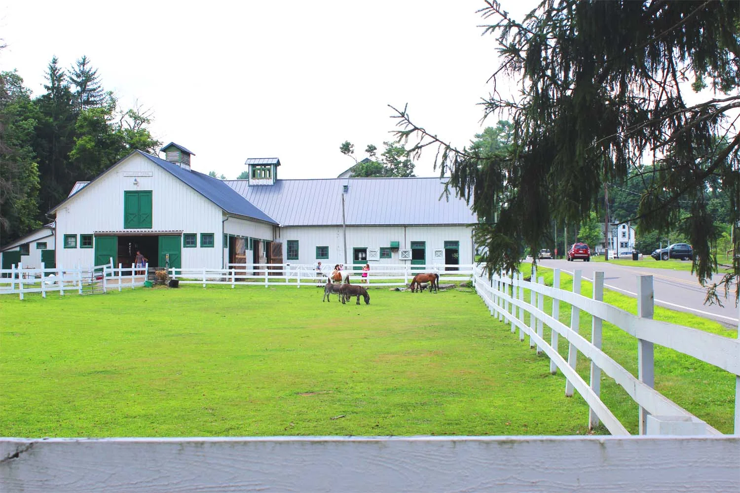 Hillside Farms, Shavertown, PA | Image: Laura Messersmith