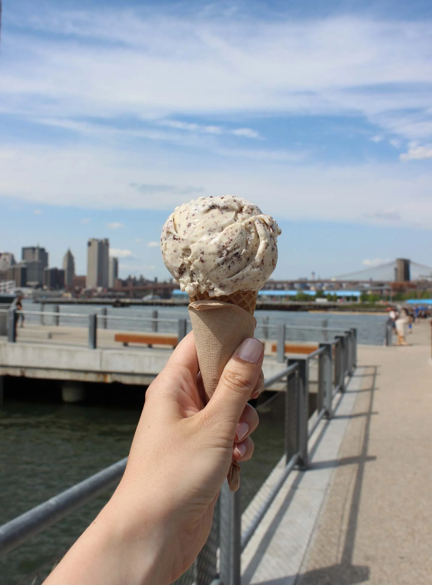 Mint Chocolate Flake by Ample Hills Creamery | Image: Laura Messersmith