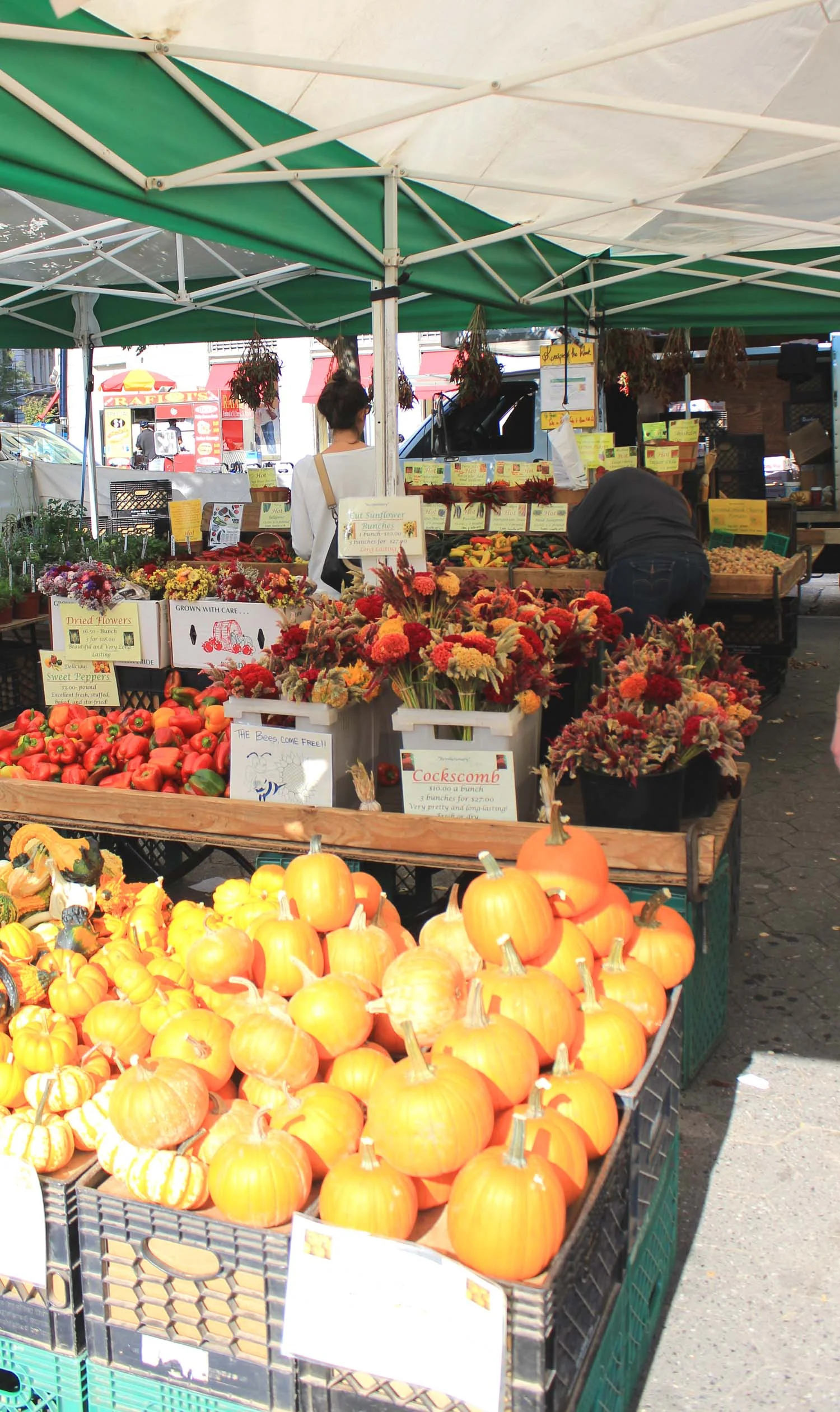 Oak Grove Plantation @ Union Sq. Greenmarket | Image: Laura Messersmith