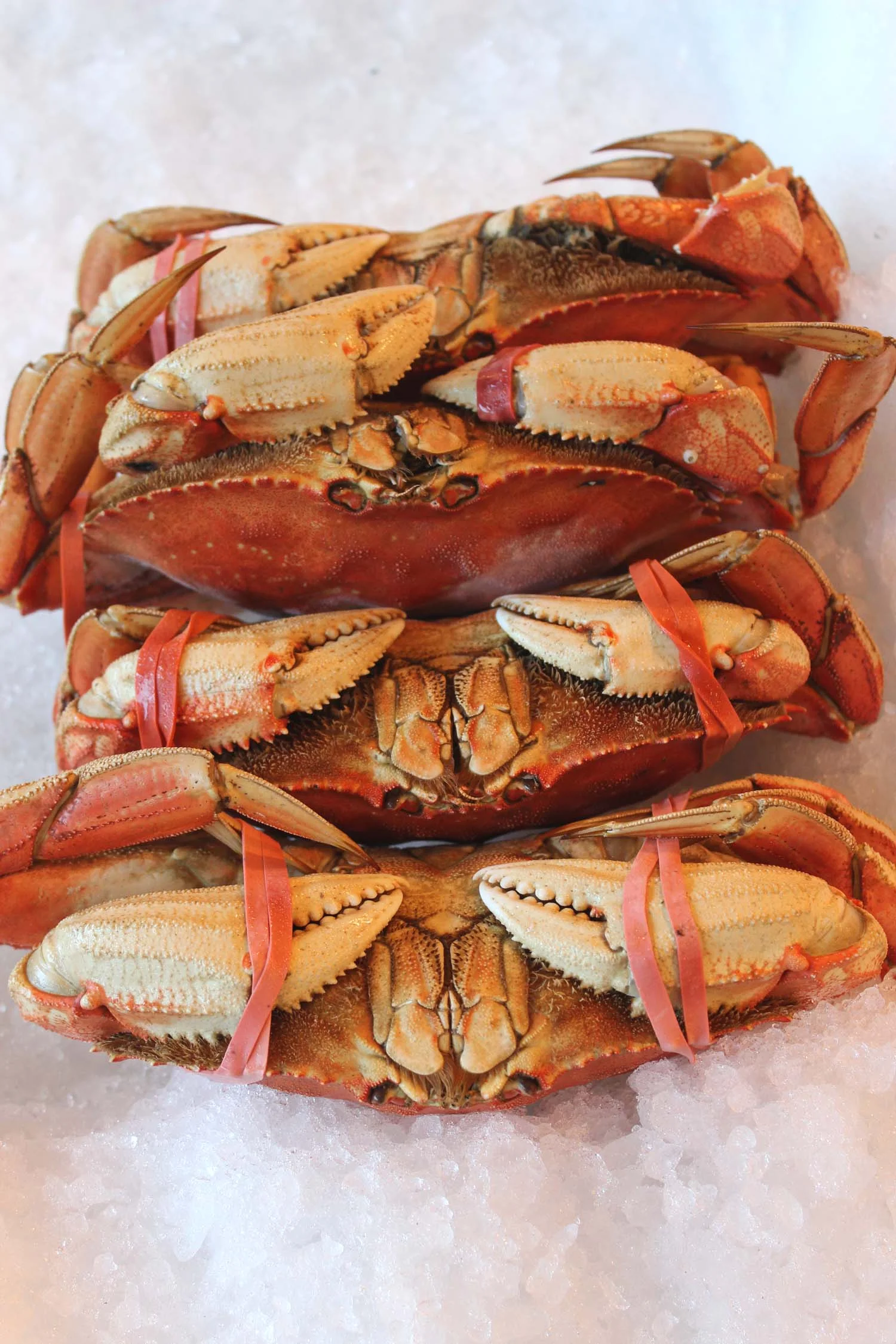 Pike Place Market, Seattle | Image: Laura Messersmith