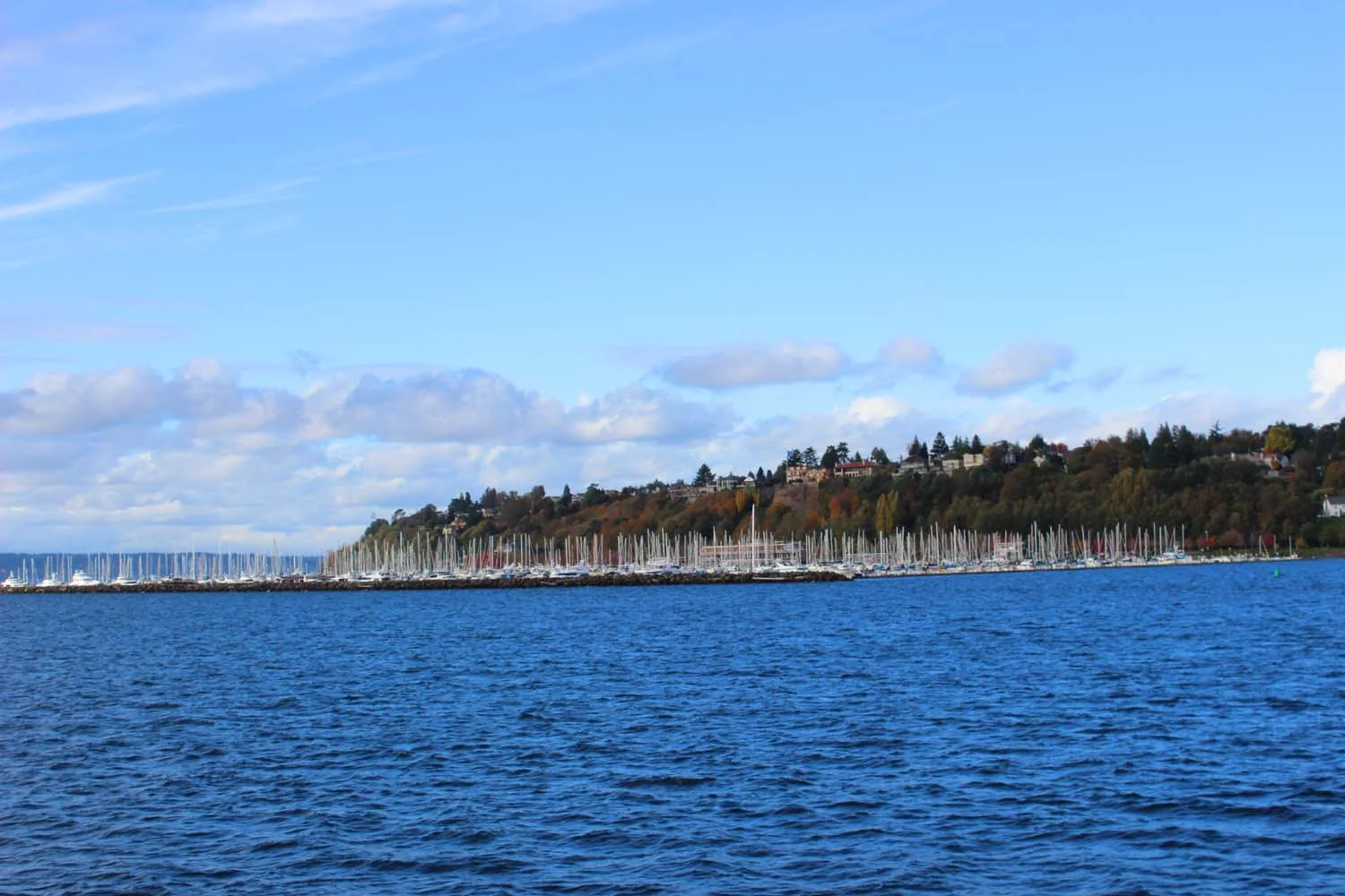 Seattle Harbor | Image: Laura Messersmith