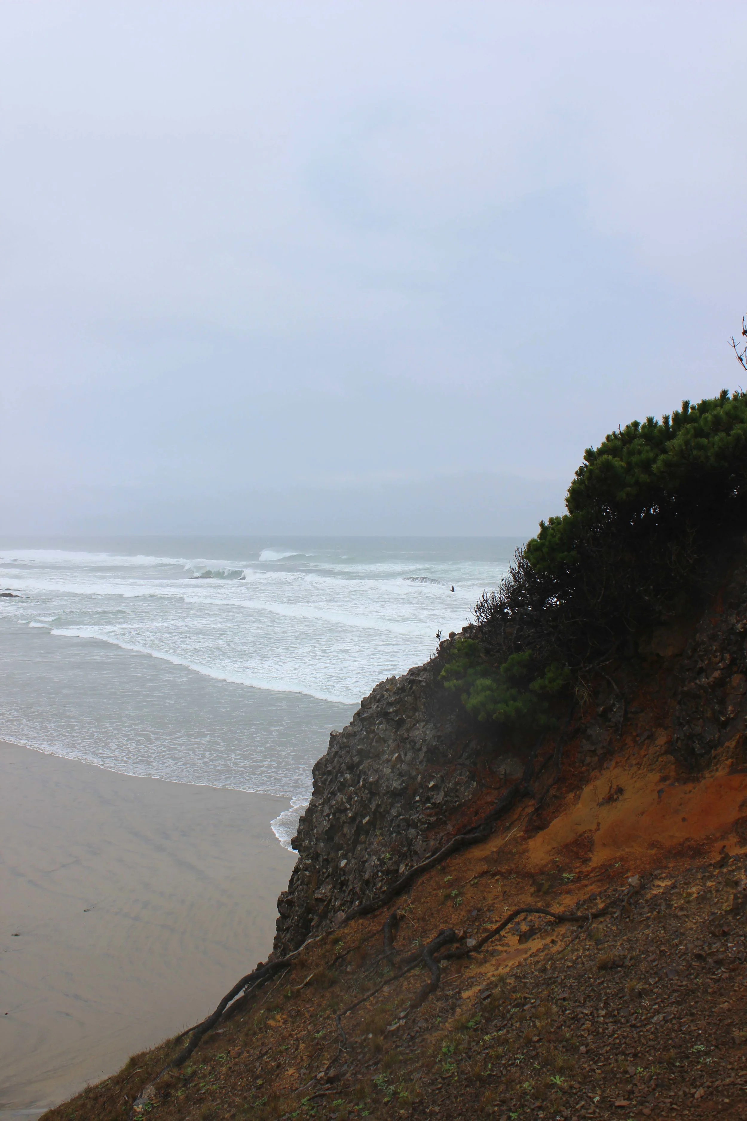 Oregon Coast | Image: Laura Messersmith