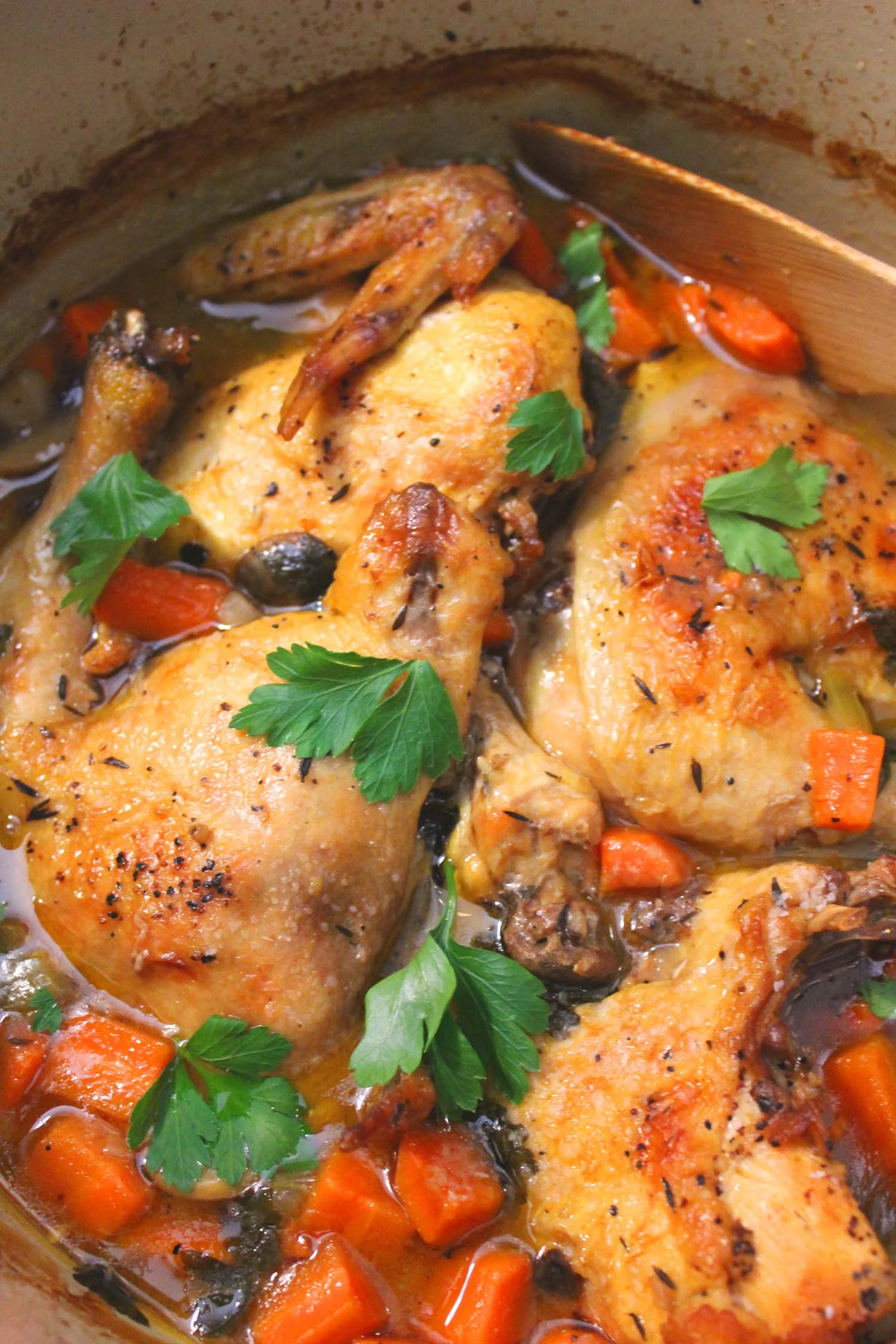 Coq au Vin Blanc | Image: Laura Messersmith