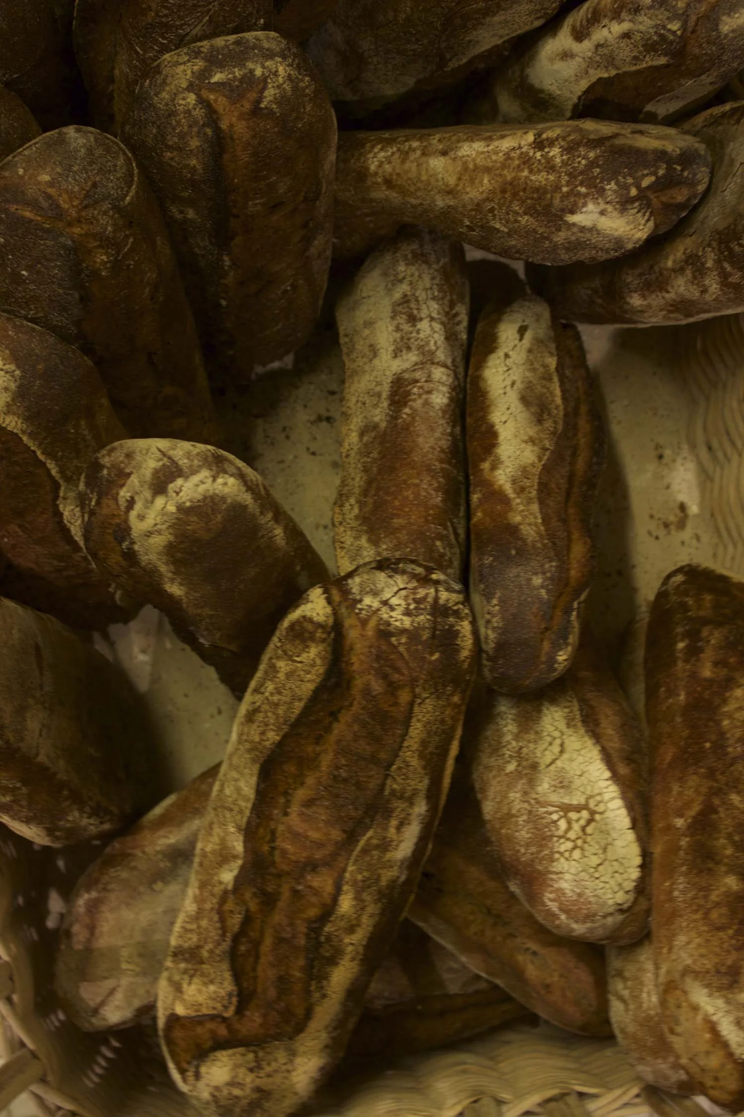 Bread | Image: Laura Messersmith