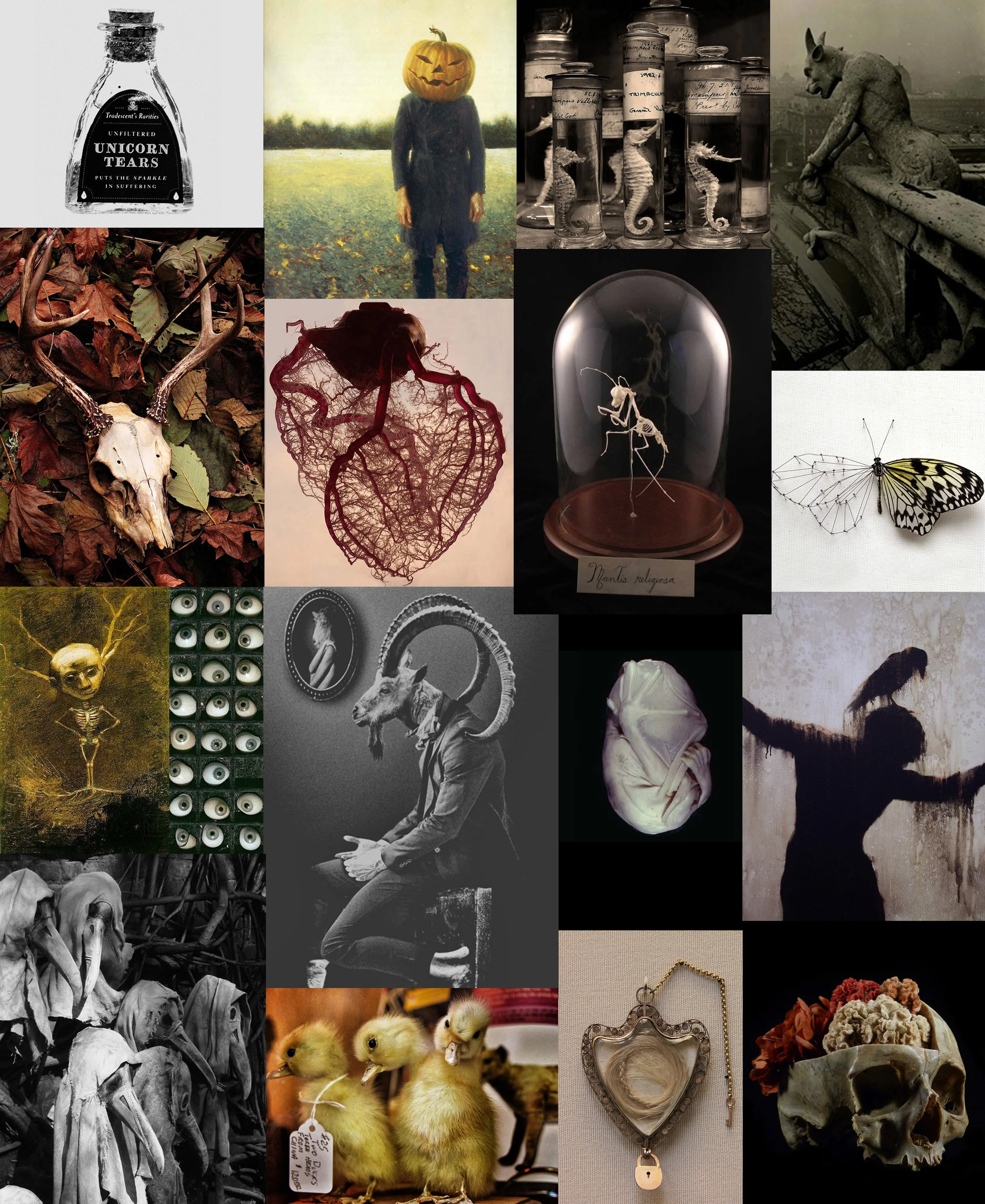 Obscurities.jpg